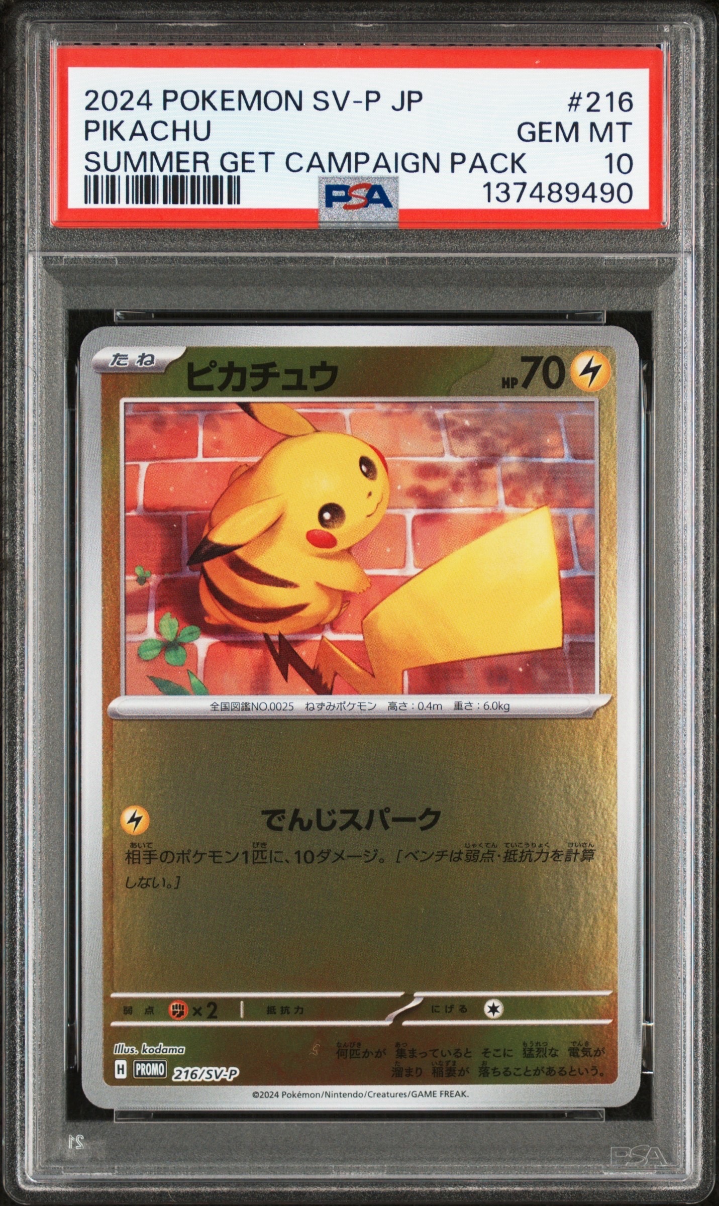 ピカチュウ P [SV-P 216](プロモカードパック「ポケカの夏がキタ!プロモカードGetキャンペーン!」)
