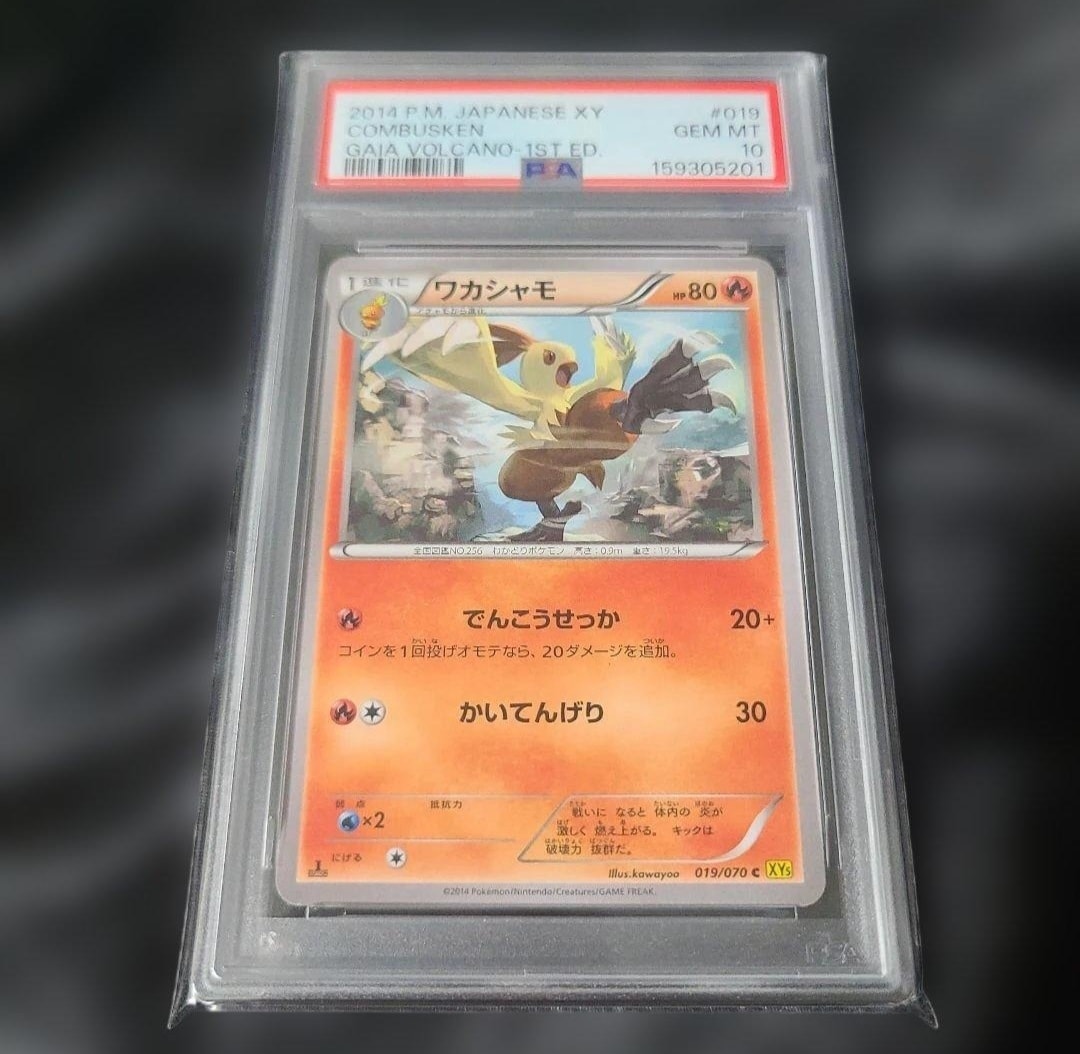 PSA10】ワカシャモ C :1ED [XY5 019/070](拡張パック「ガイア