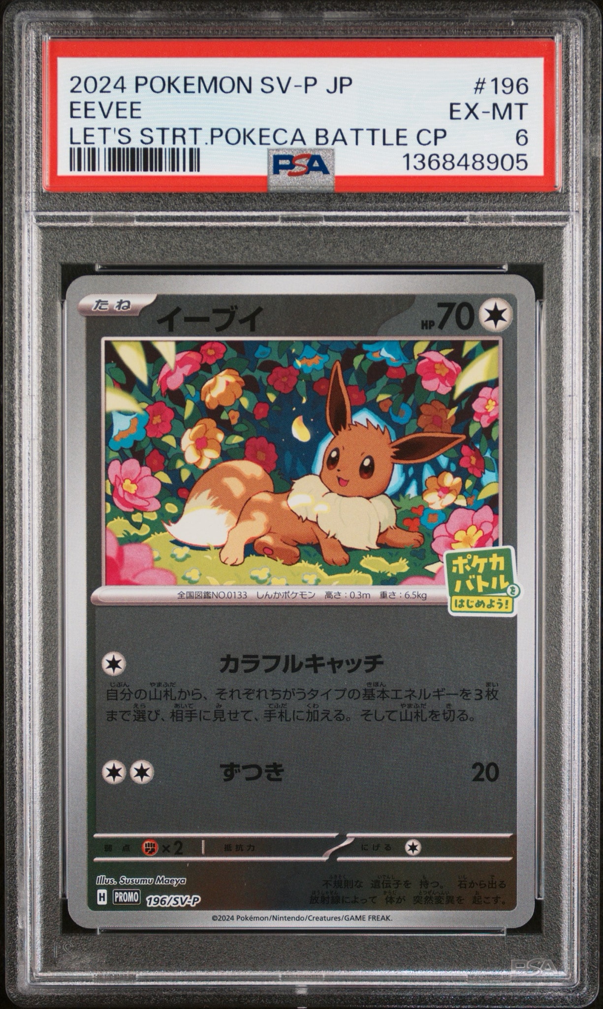 イーブイ P [SV-P-SM 196](プロモカードパック「ポケカバトルをはじめ