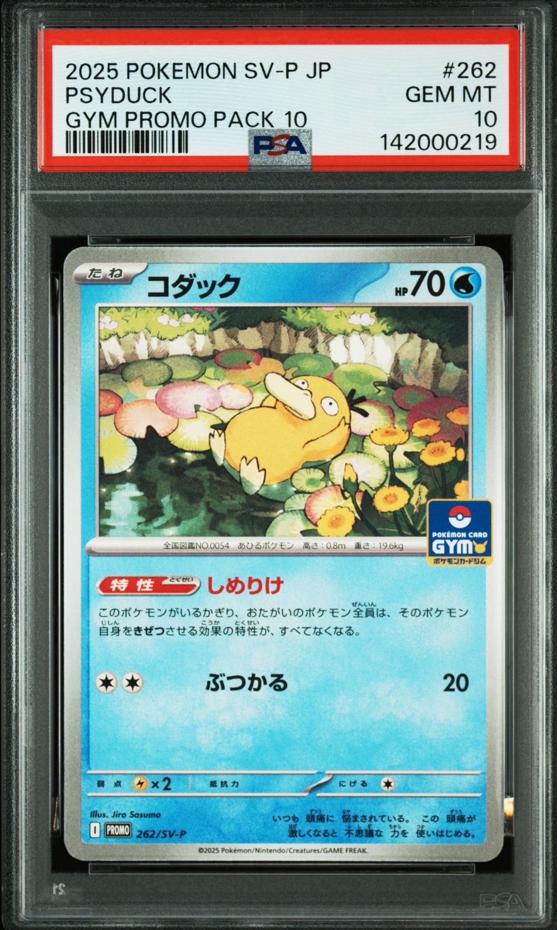 コダック P [SV-P 262](プロモカードパック「第10弾」)
