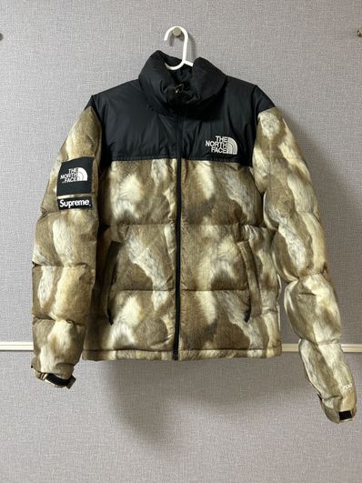 Supreme x The North Face Fur Print Nuptse Jacket "Brown"
