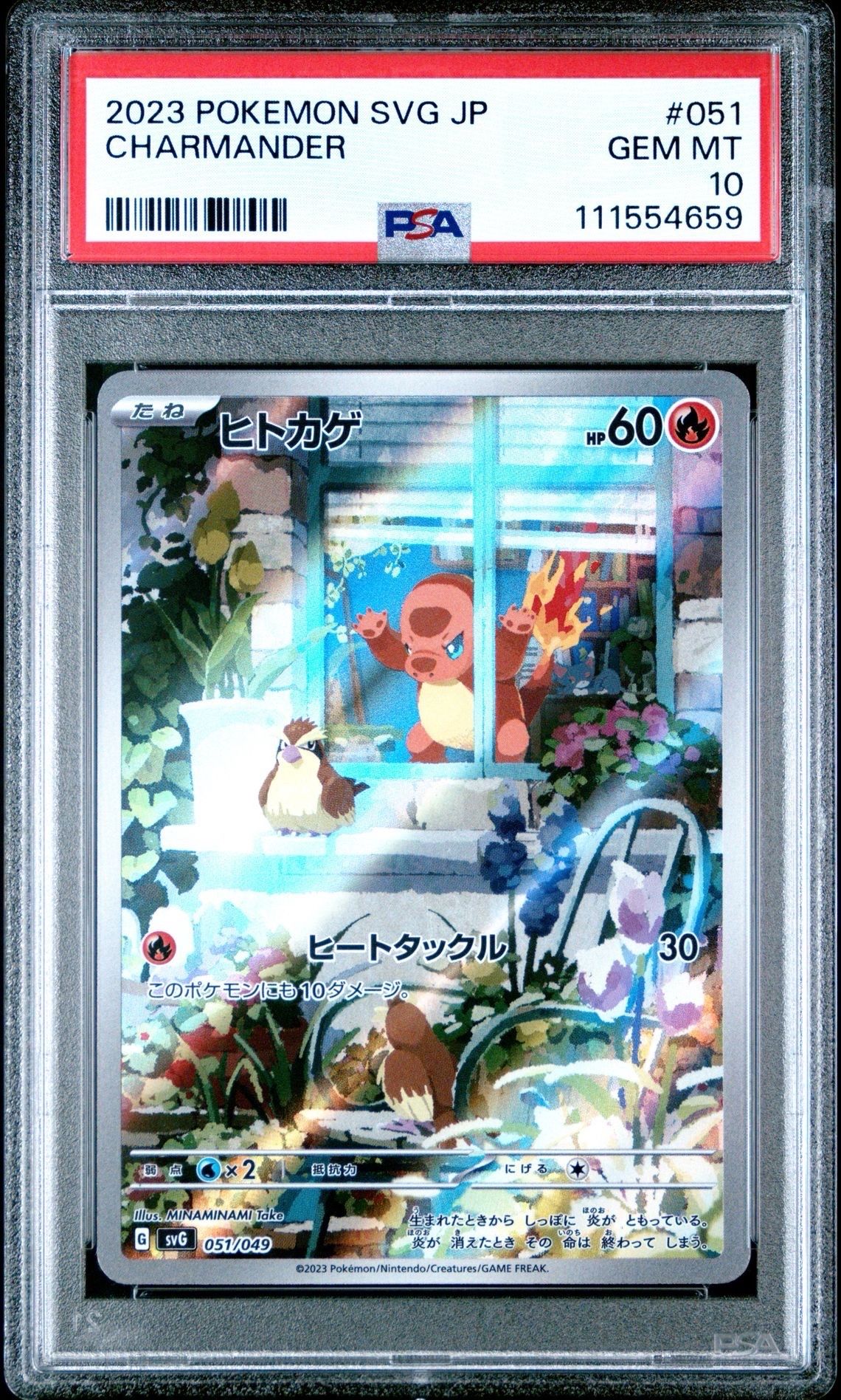 ヒトカゲ :フルイラスト [SVG 051/049](スペシャルデッキセットex「フシギバナ・リザードン・カメックス」)
