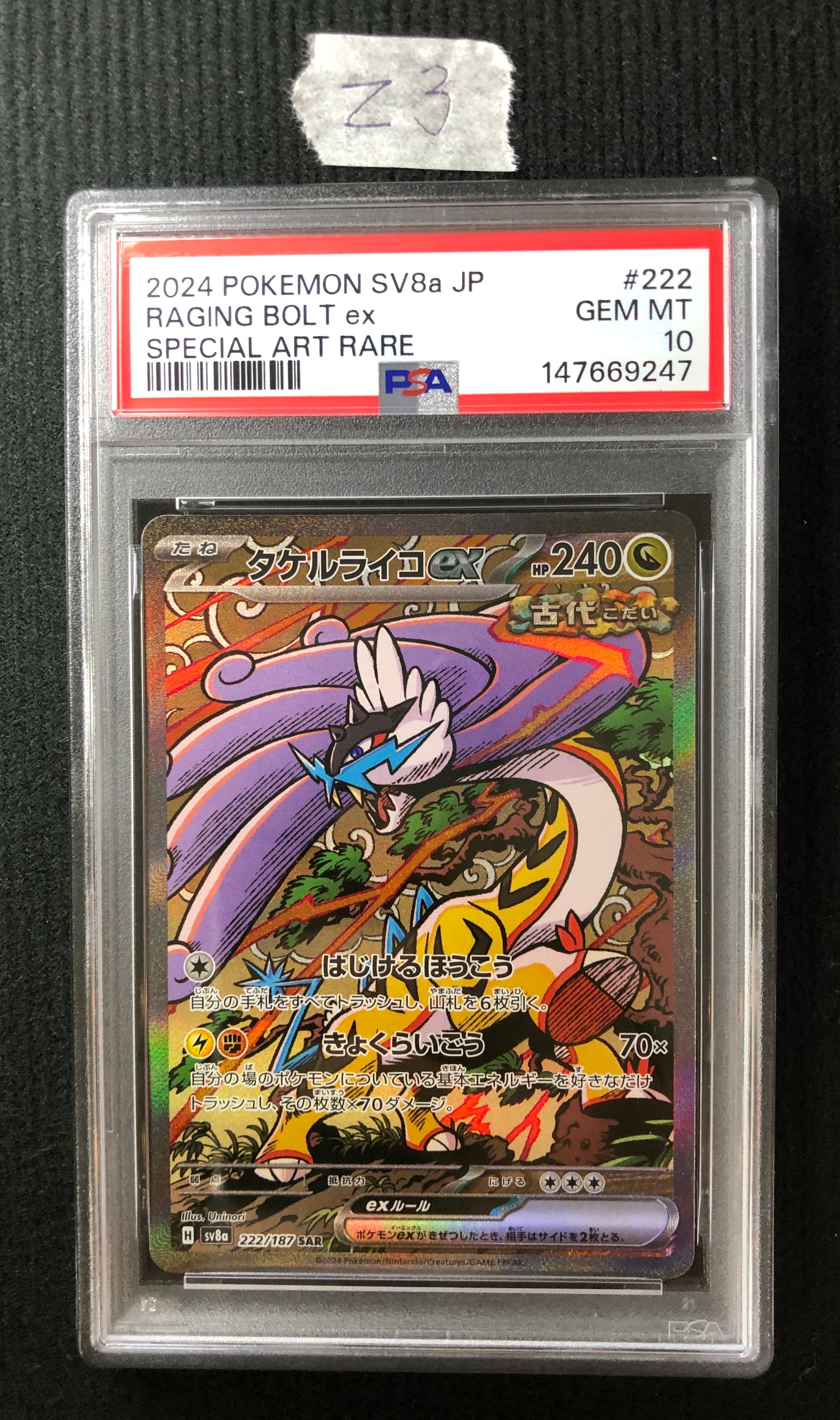 タケルライコex SAR [SV8a 222/187](ハイクラスパック「テラスタル