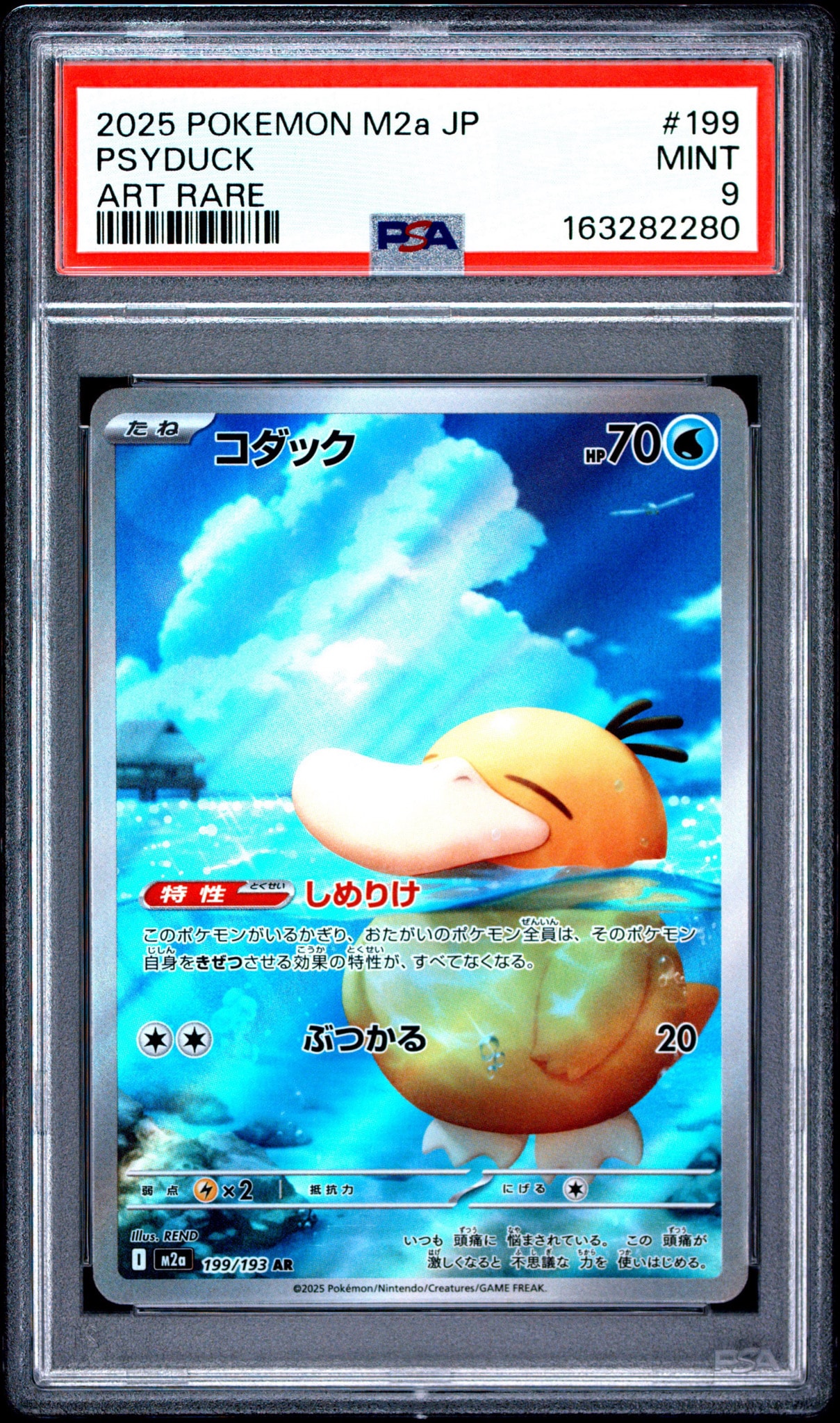 コダック AR [M2a 199/193](ハイクラスパック「MEGAドリームex」)