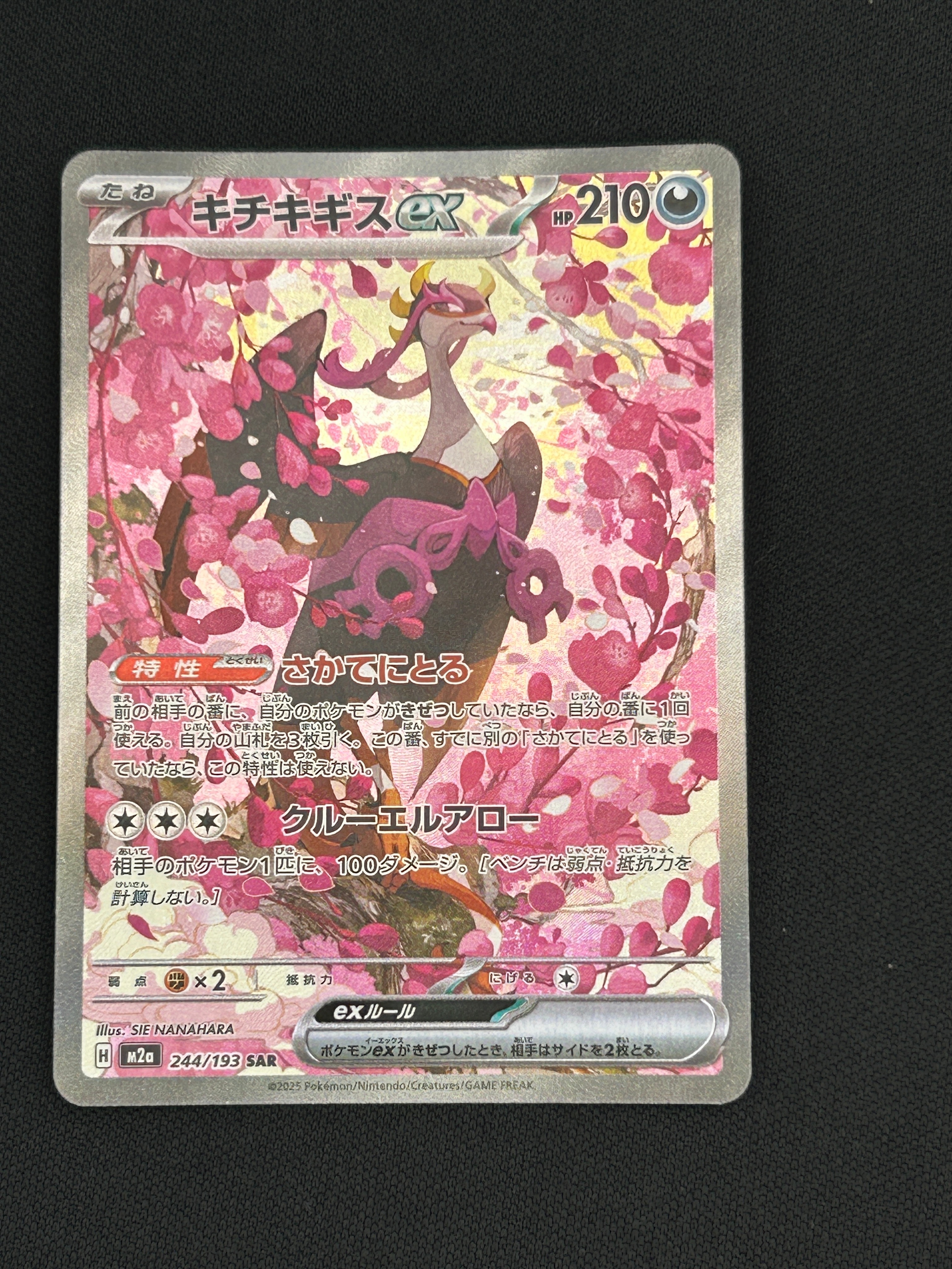 キチキギスex SAR PSA10 psa10 キチキギスex sar - メルカリ キチキギスex SAR PSA10 psa10 キチキギスex sar - メルカリ