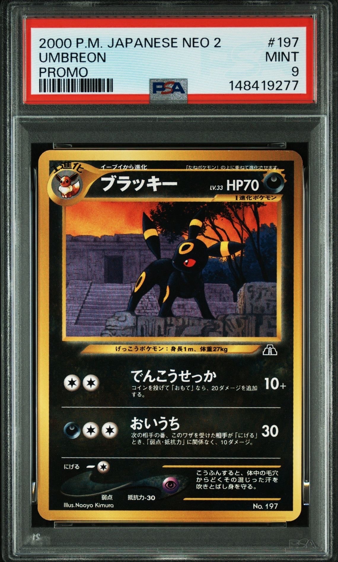 PSA10】ブラッキープレミアムファイル2: 旧裏[neoP2 No.197