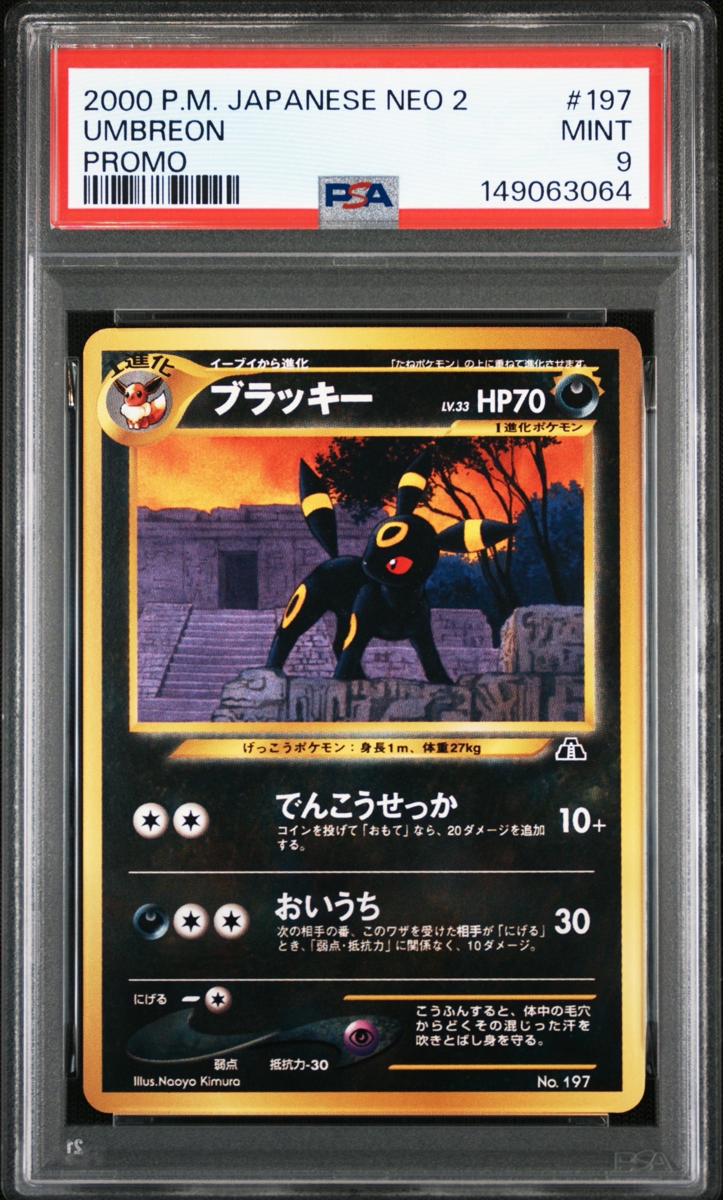 PSA10】ブラッキープレミアムファイル2: 旧裏[neoP2 No.197