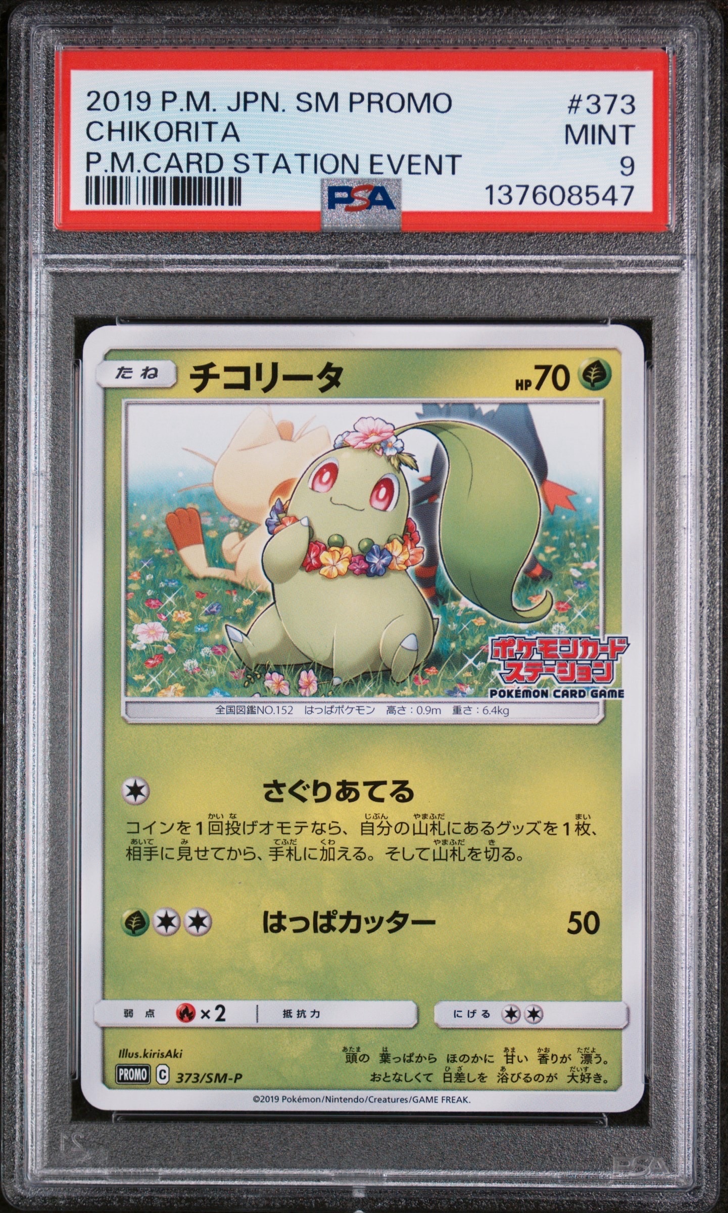 チコリータ P [SM-P 373](プロモーションカード「ポケモンカードステーション」)