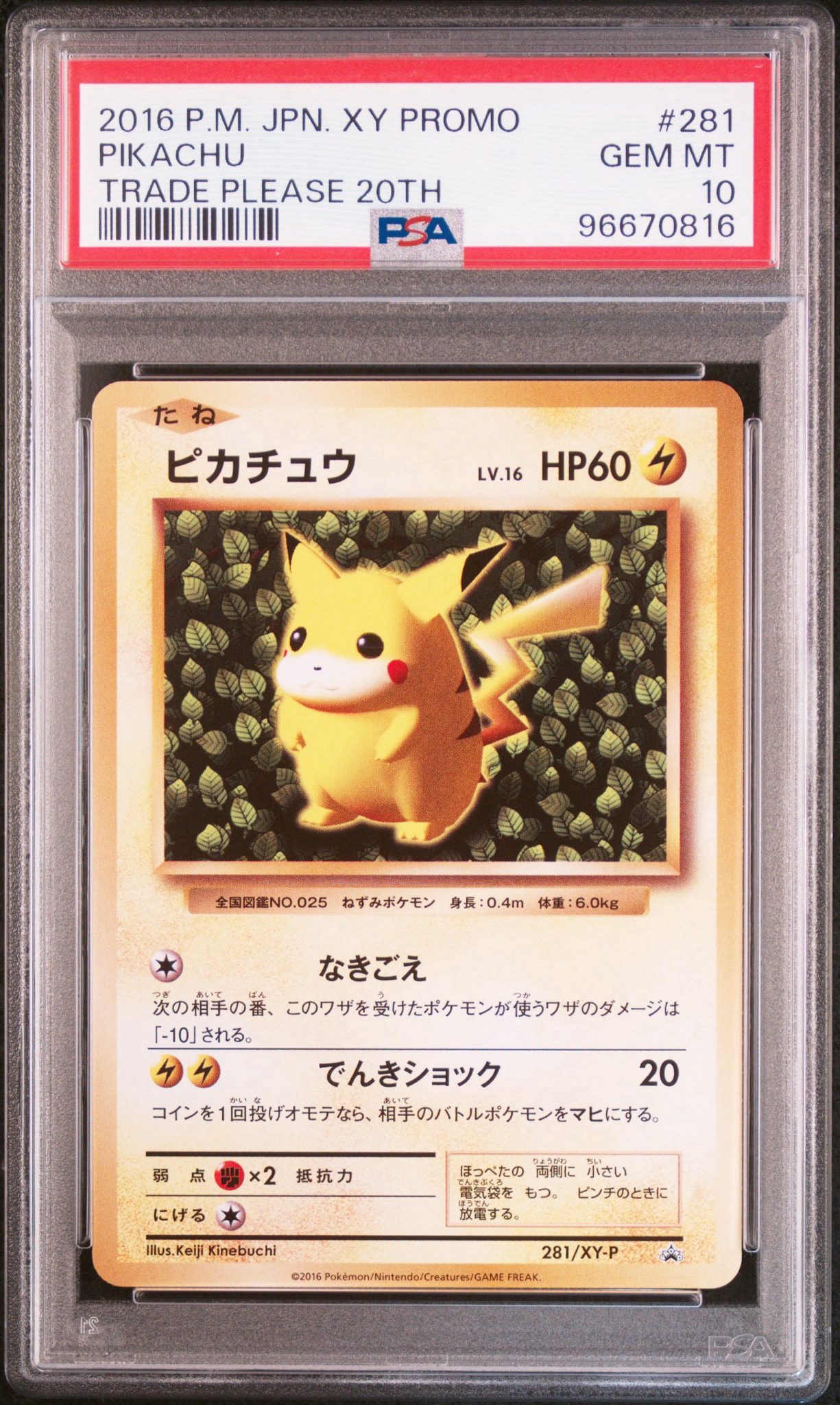 ピカチュウ: プロモ[XY-P 281/XY-P](プロモーションカード「XY-P」)