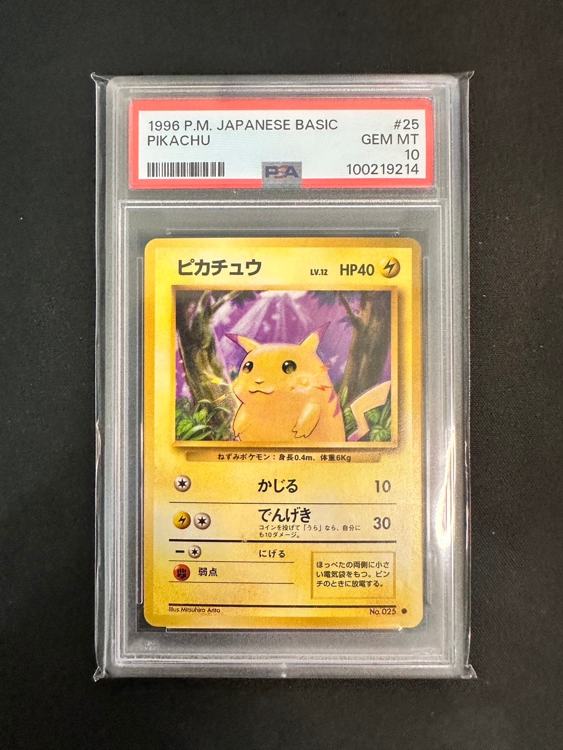 ピカチュウ ● : 旧裏 [PMCG1-2](拡張パック「ポケットモンスター カードゲーム」再販)