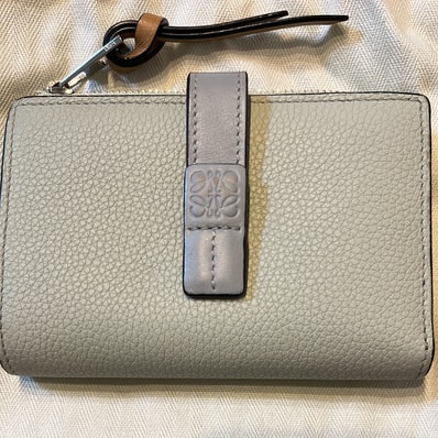 LOEWE Slim Zip Bifold Wallet Soft Grain Calf "Springjade/Clay Green"