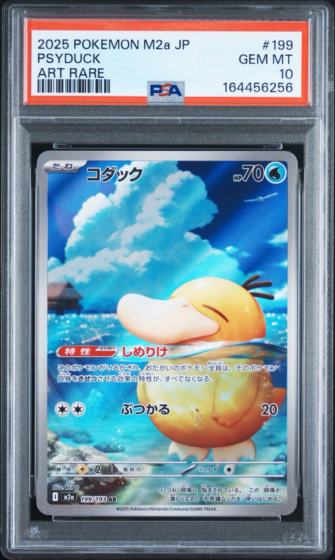 コダック AR [M2a 199/193](ハイクラスパック「MEGAドリームex」)