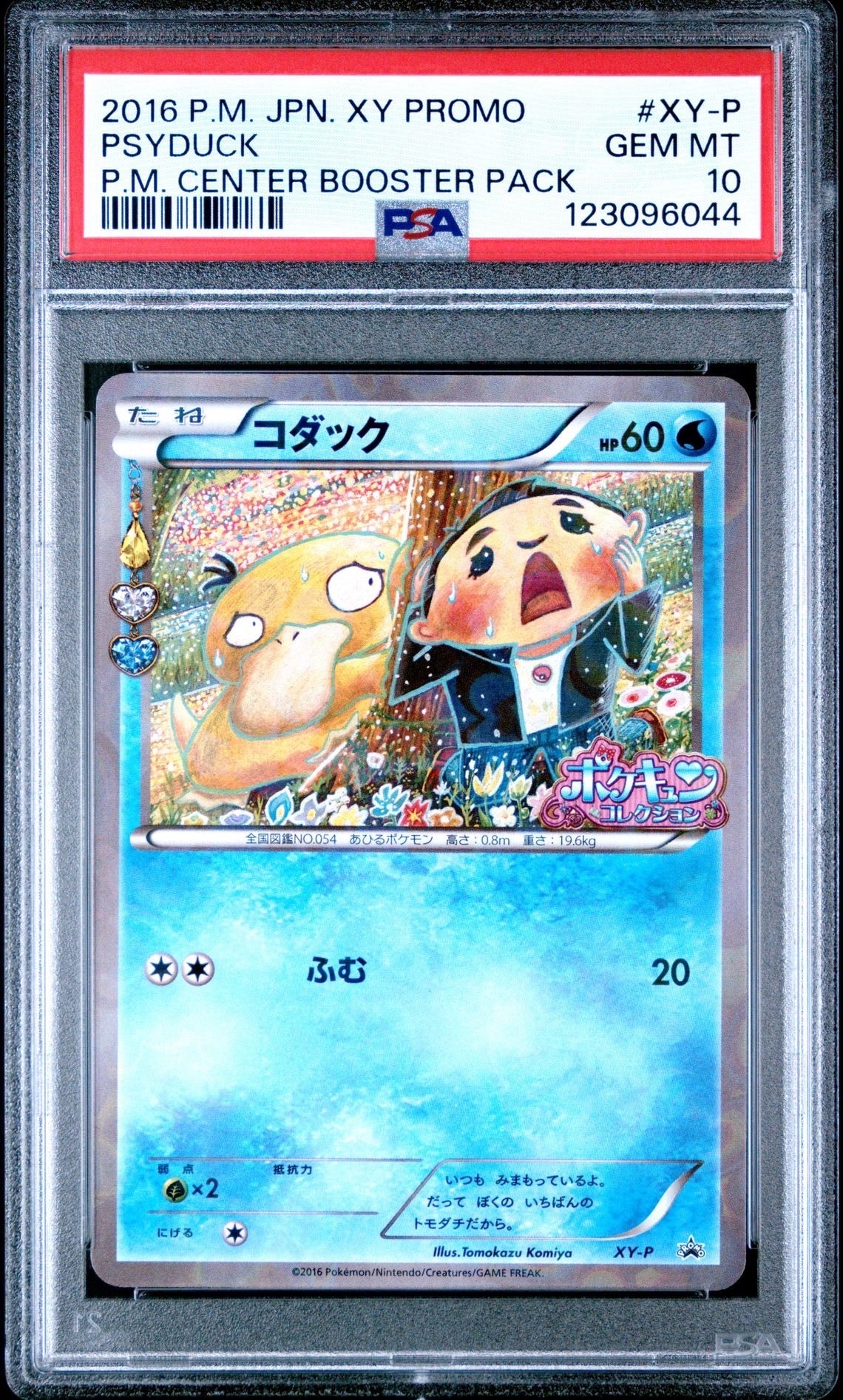 コダック: プロモ[XY-P](プロモーションカード「XY-P」)