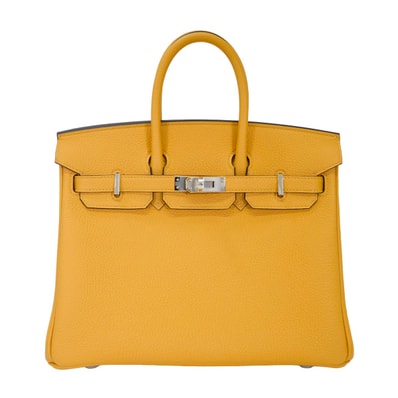 HERMES エルメス ハンドバッグ バーキン25 パイユ トゴ シルバー金具 G刻印 新品