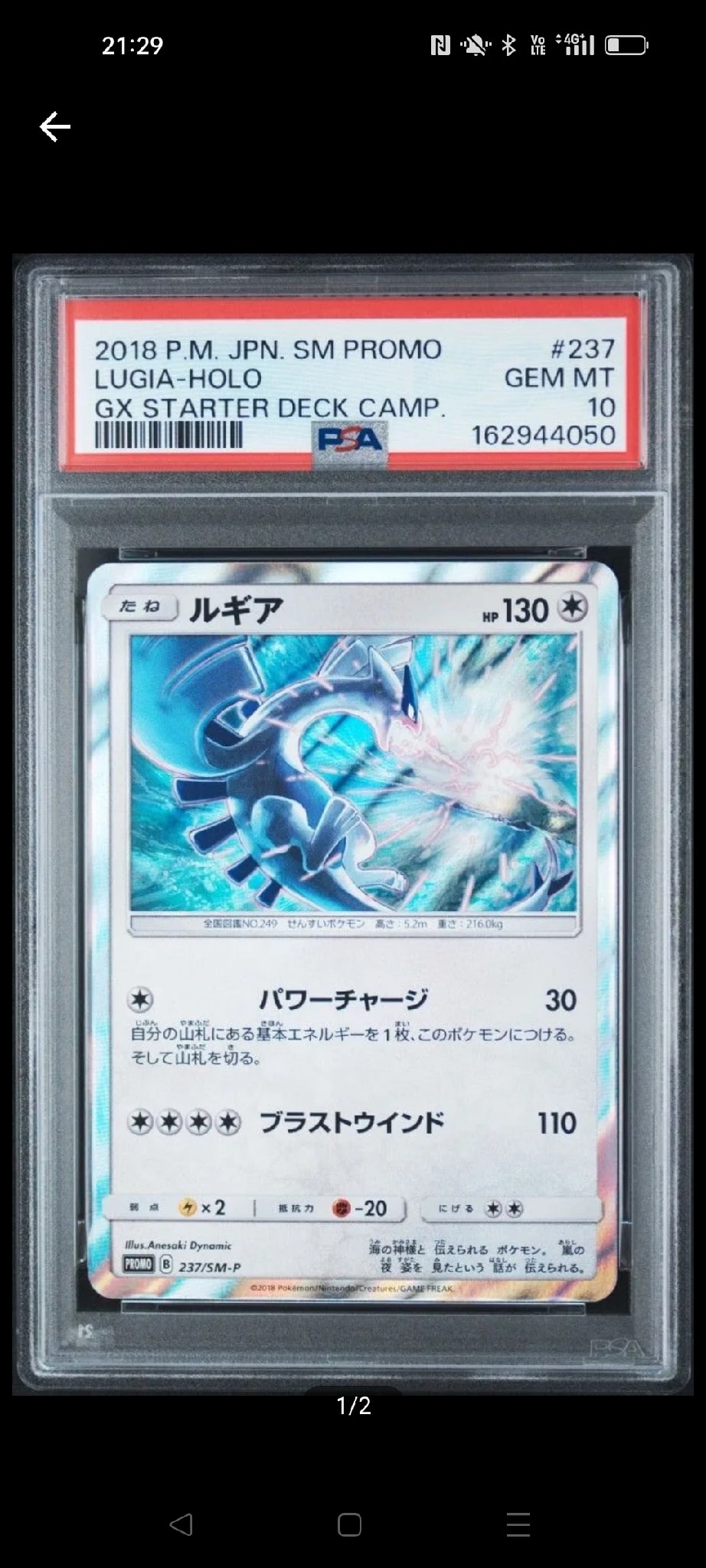 ルギア P [SM-P 237](GXスタートデッキ「Wルギアキャンペーン」)通販