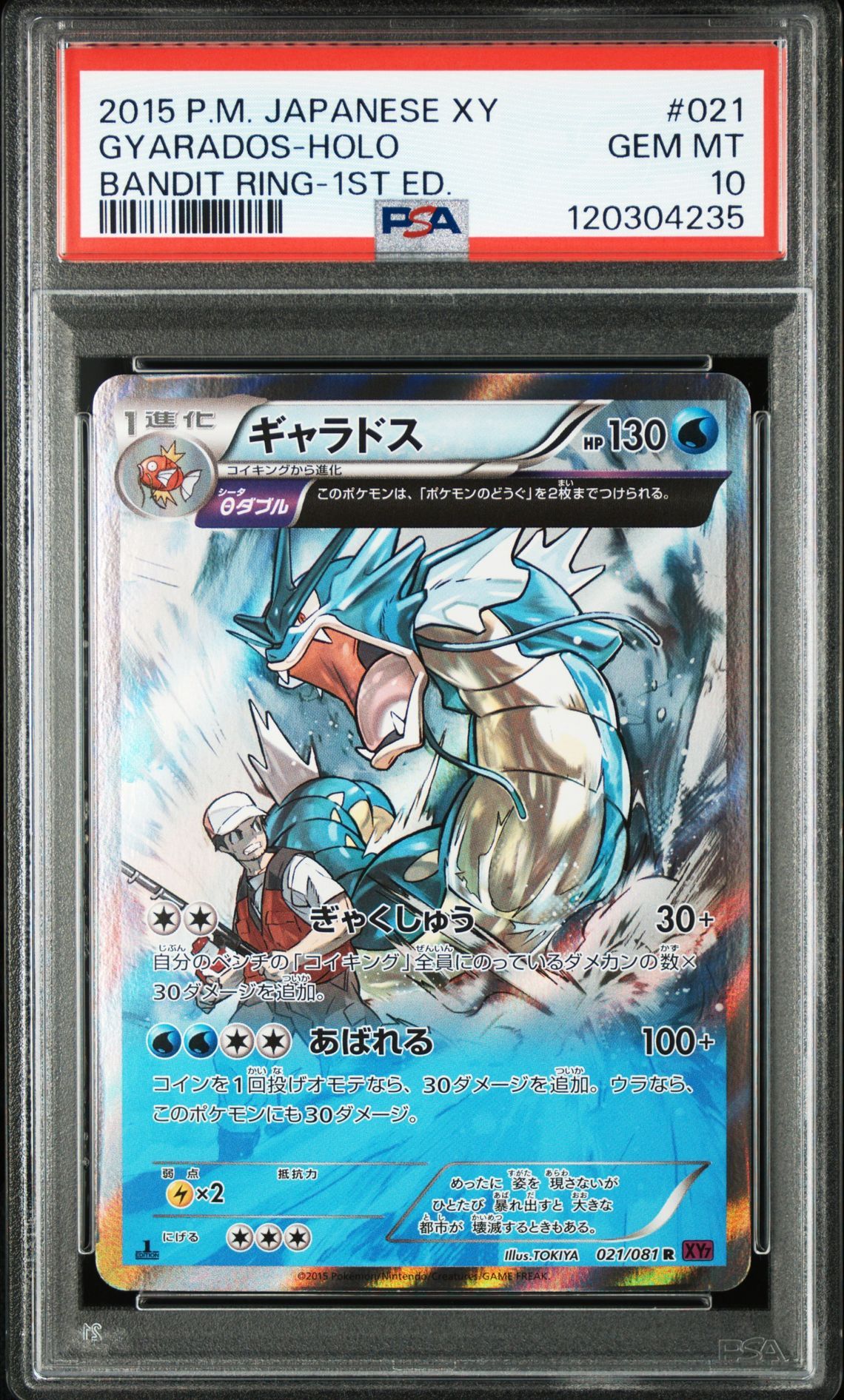 ギャラドス R XY7 バンデットリング 021/081 ギャラドス R XY7 バンデットリング 021/081 - ポケモンカード