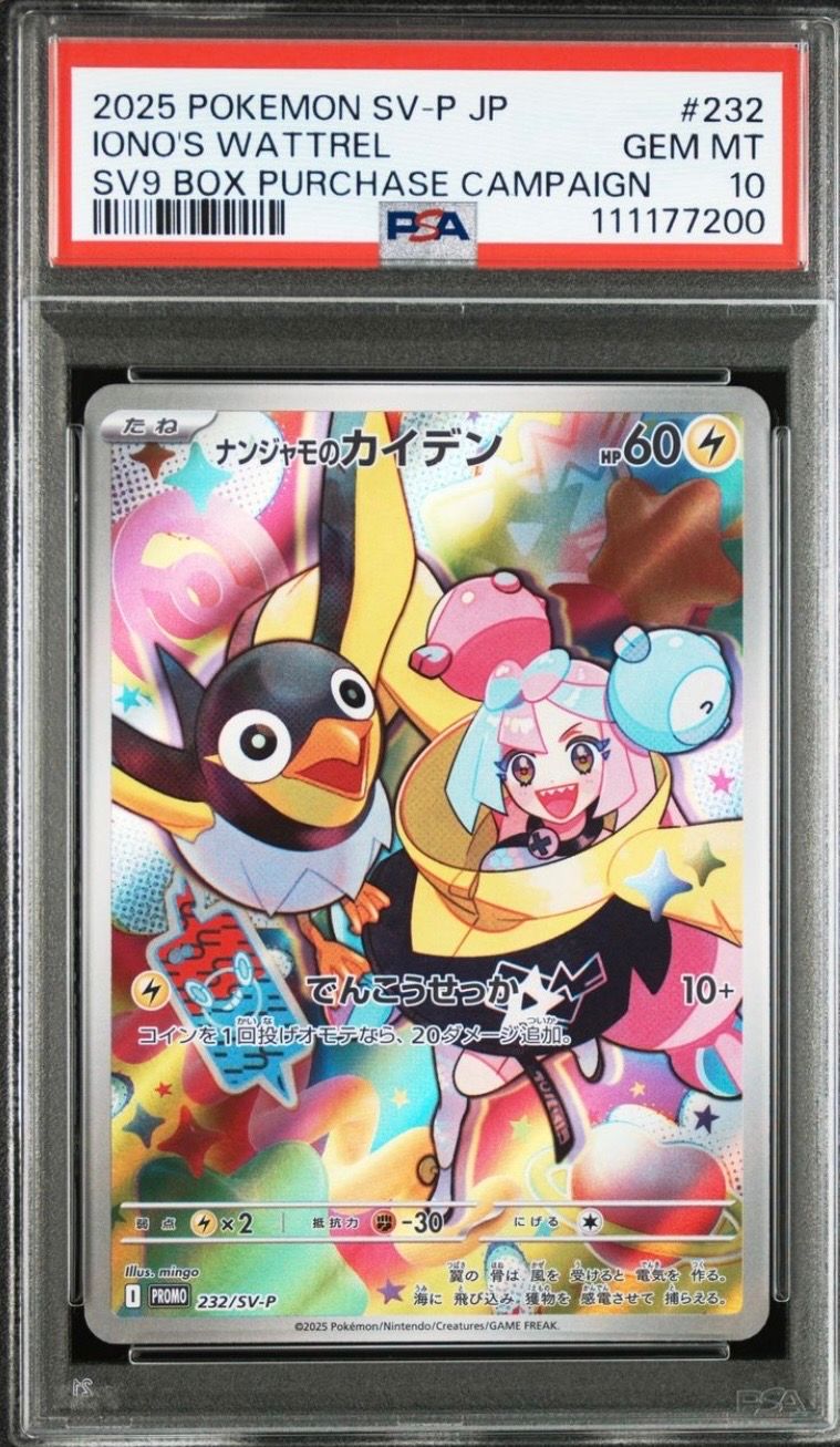 ナンジャモのカイデン P [SV-P 232](プロモーションカード「拡張パック バトルパートナーズ Box購入キャンペーン」)