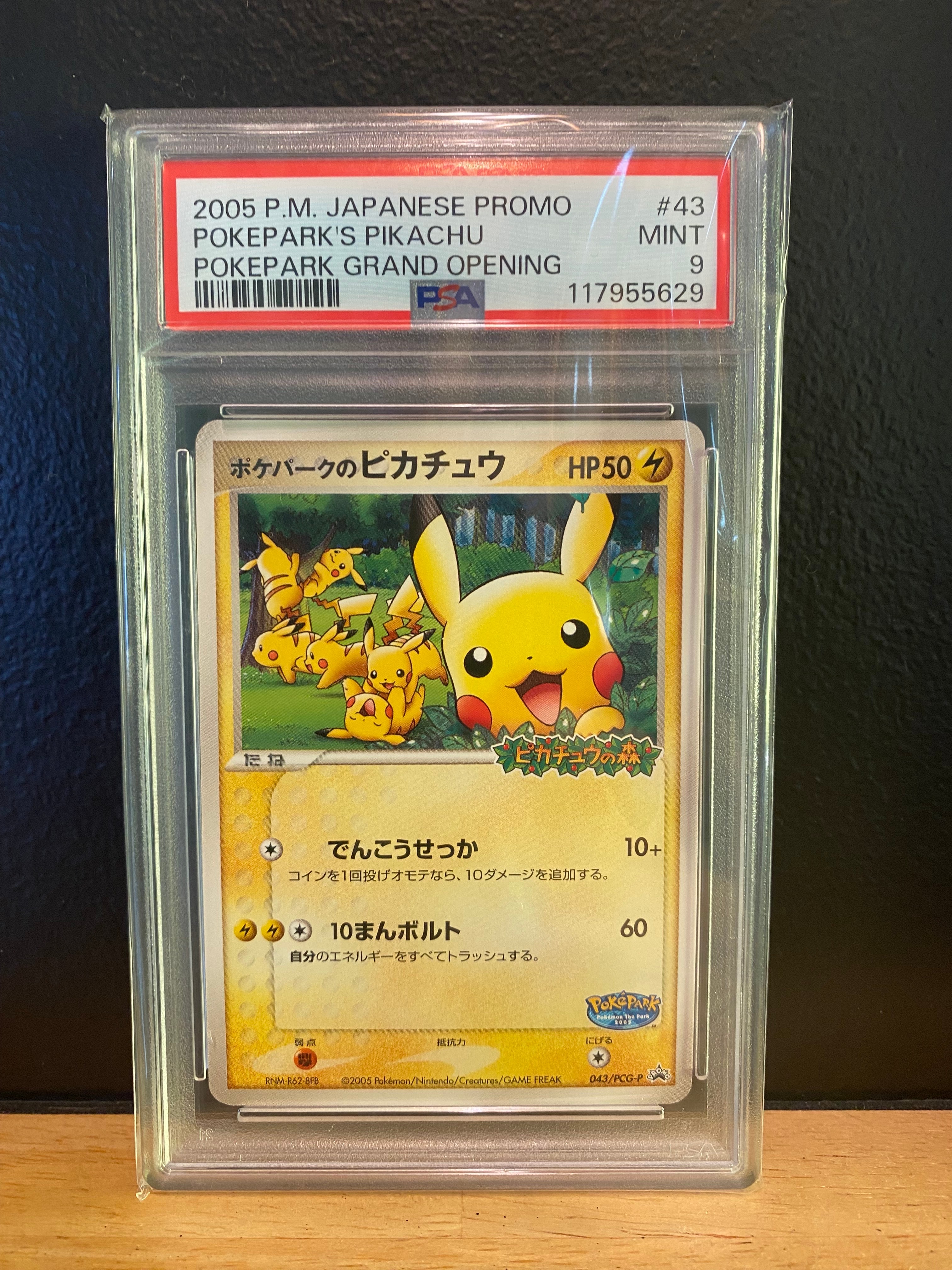 ポケパークのピカチュウ P [PCG-P 043](プロモーションカード「ポケパーク ルギアのくるくるシップ」)