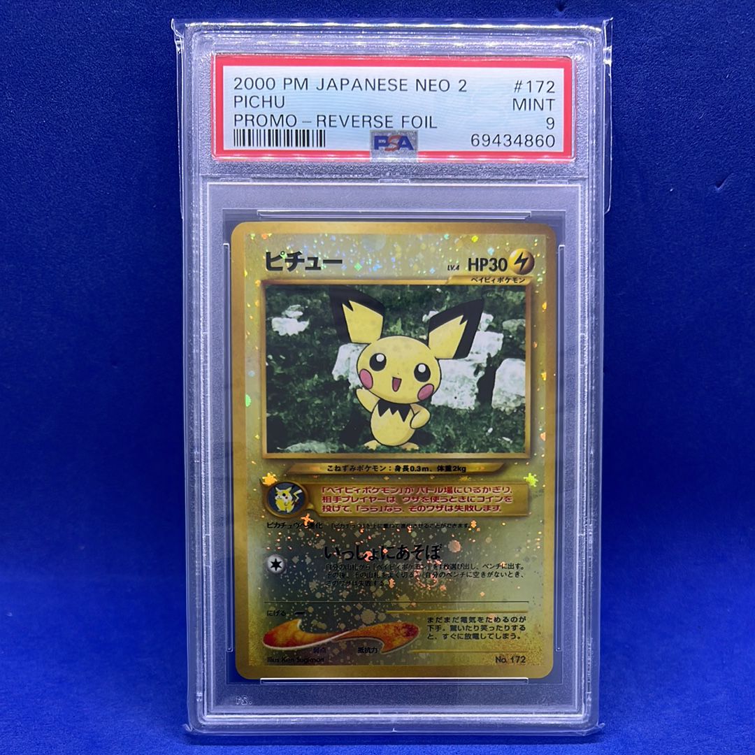 ピチュープレミアムファイル2: 旧裏[neoP2 No.172](プレミアムファイル2)