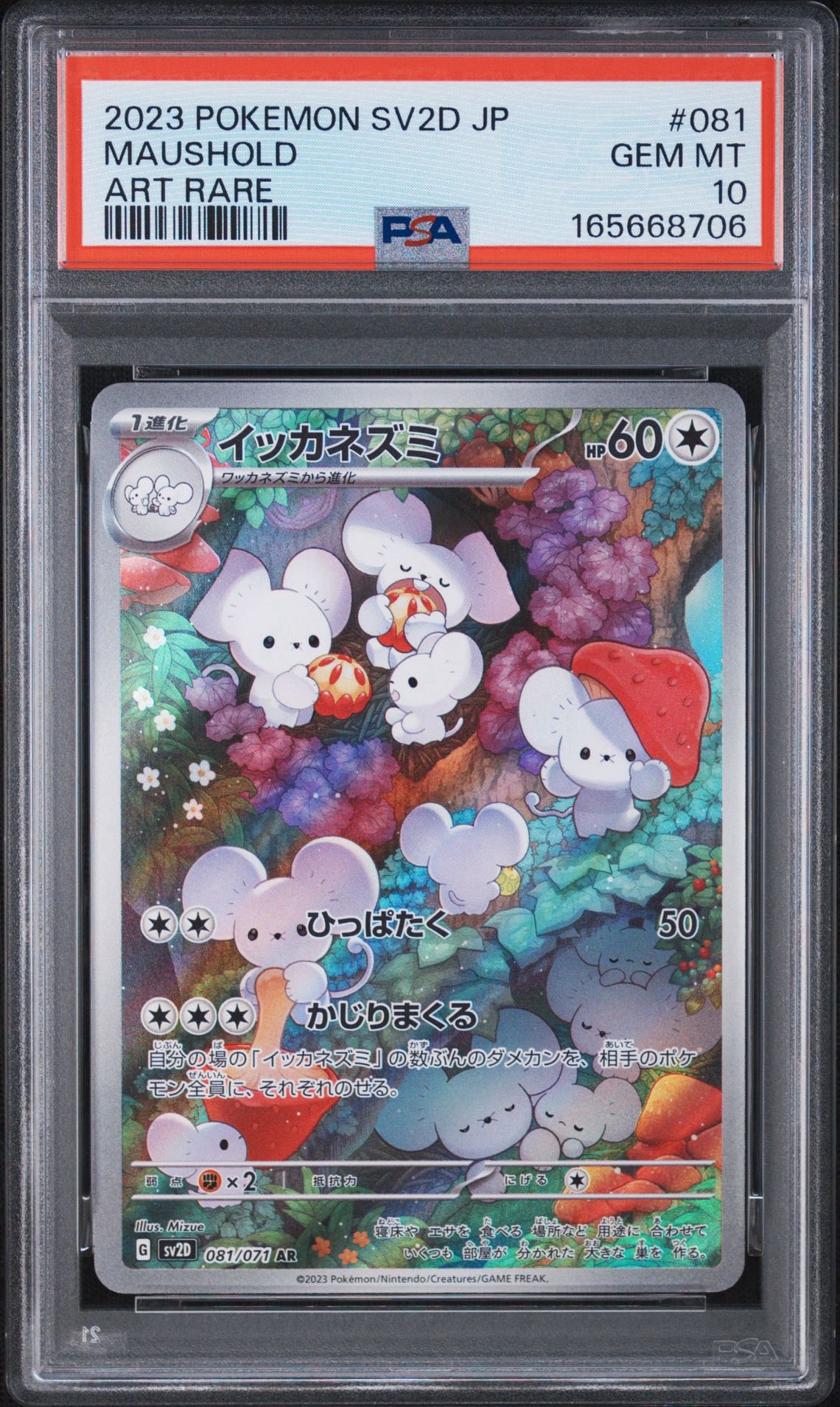 Maushold AR[SV2D 081/071](Expansion Pack "Clay burst")