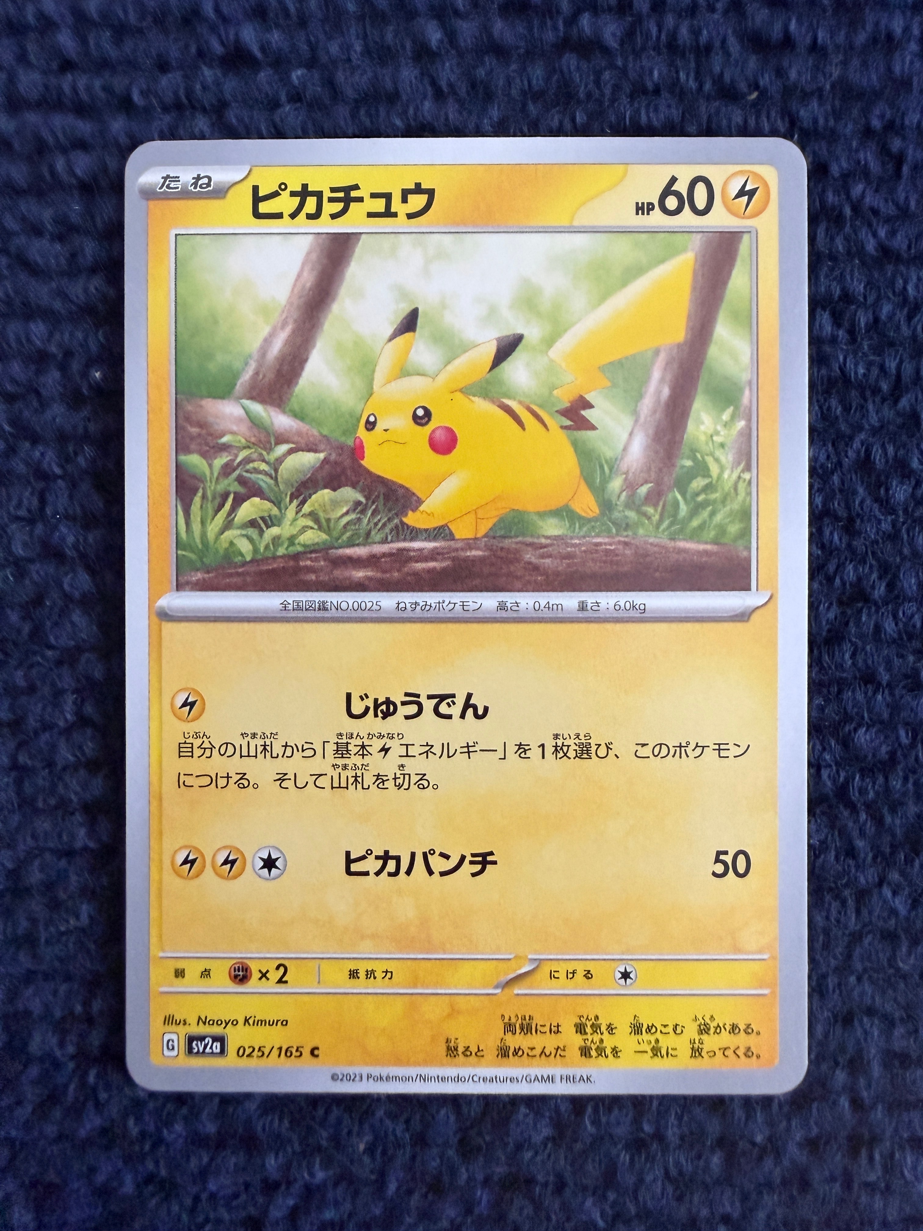 PSA10 ハガネール CHR SM11b ドリームリーグ 060/049 PSA10 ハガネール CHR SM11b ドリームリーグ 060/049 - メルカリ