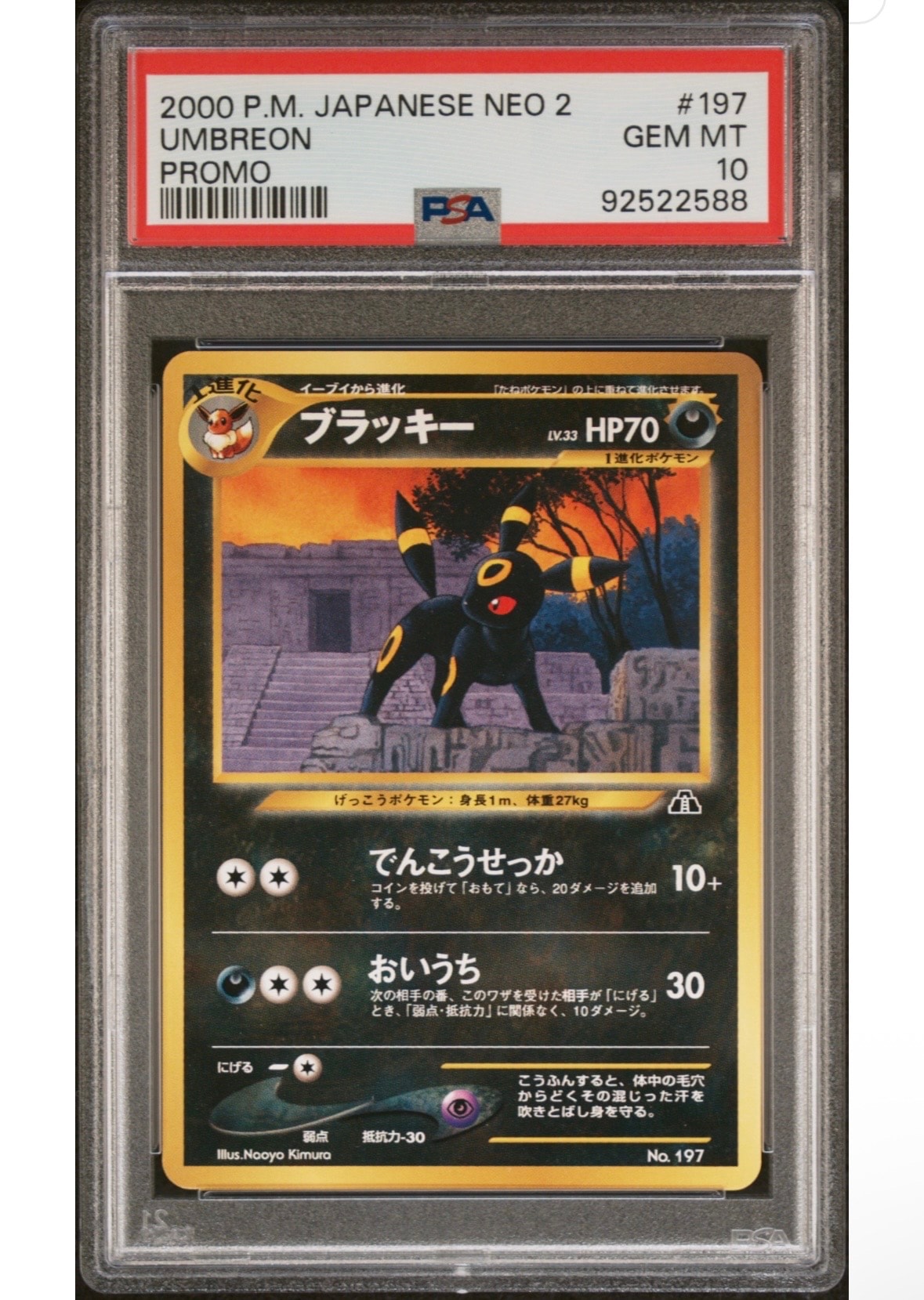 ブラッキープレミアムファイル2: 旧裏[neoP2 No.197](プレミアムファイル2)