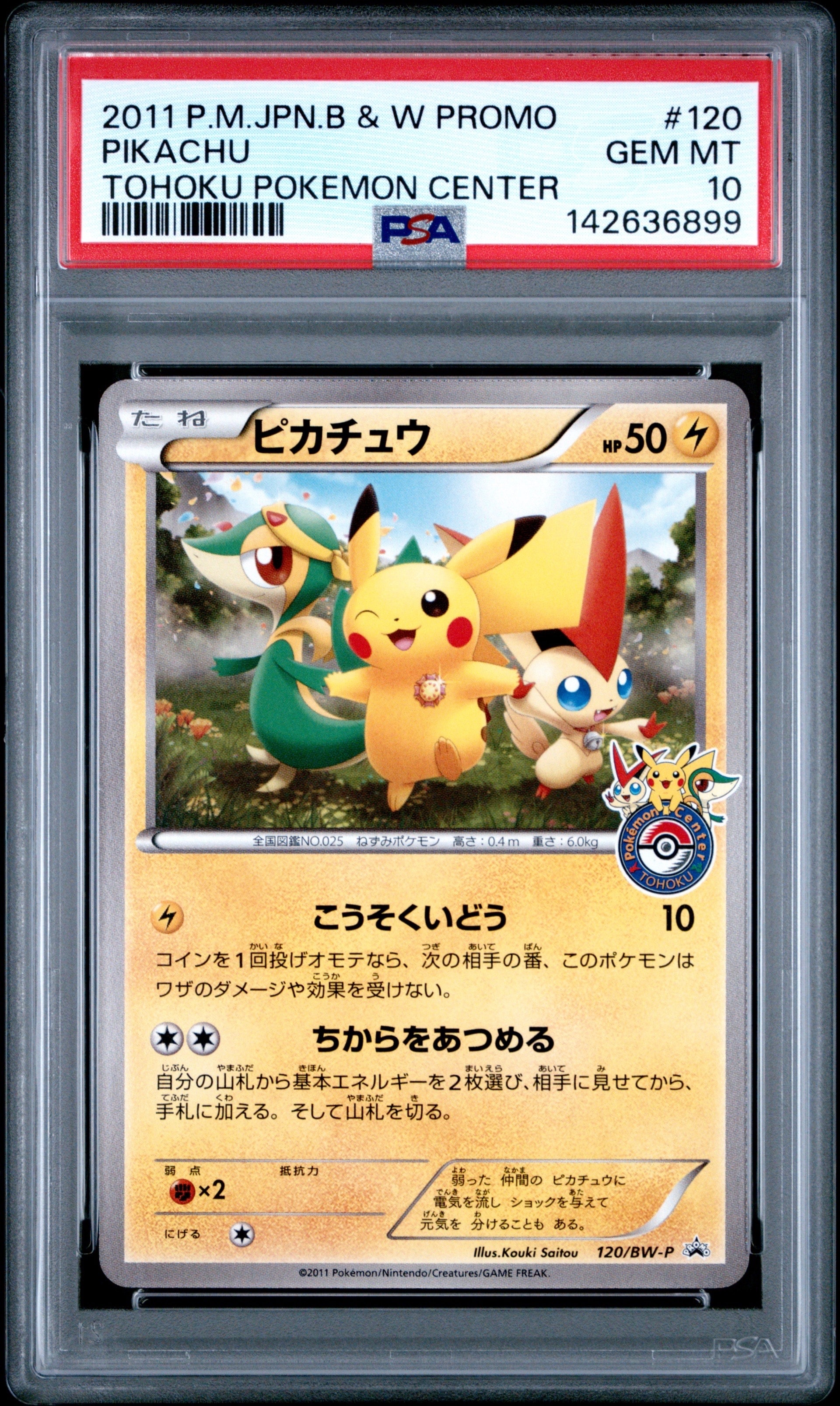 ピカチュウ P [BW-P 120/BW-P](プロモーションカード「ポケモンセンタートウホク オープン記念プレゼント」)