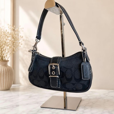 COACH シグネチャー ミニショルダーバッグ