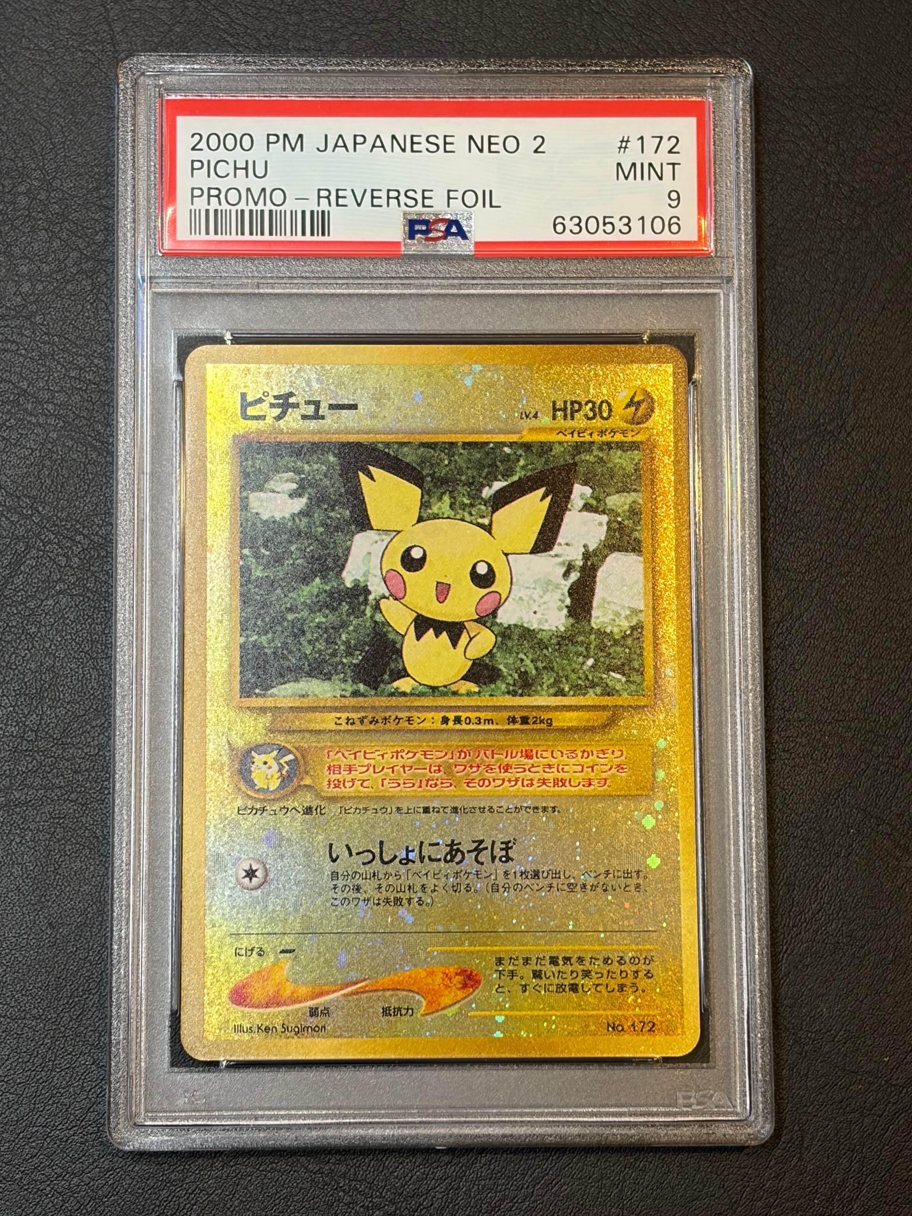 ピチュープレミアムファイル2: 旧裏[neoP2 No.172](プレミアムファイル