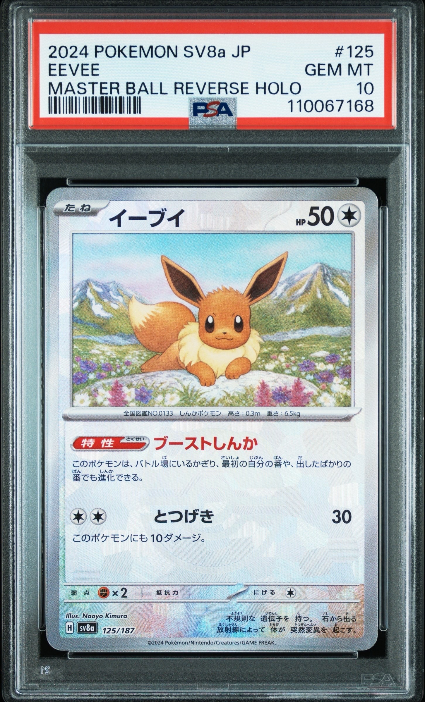 イーブイ :マスターボールミラー [SV8a 125/187](ハイクラスパック「テラスタルフェスex」)