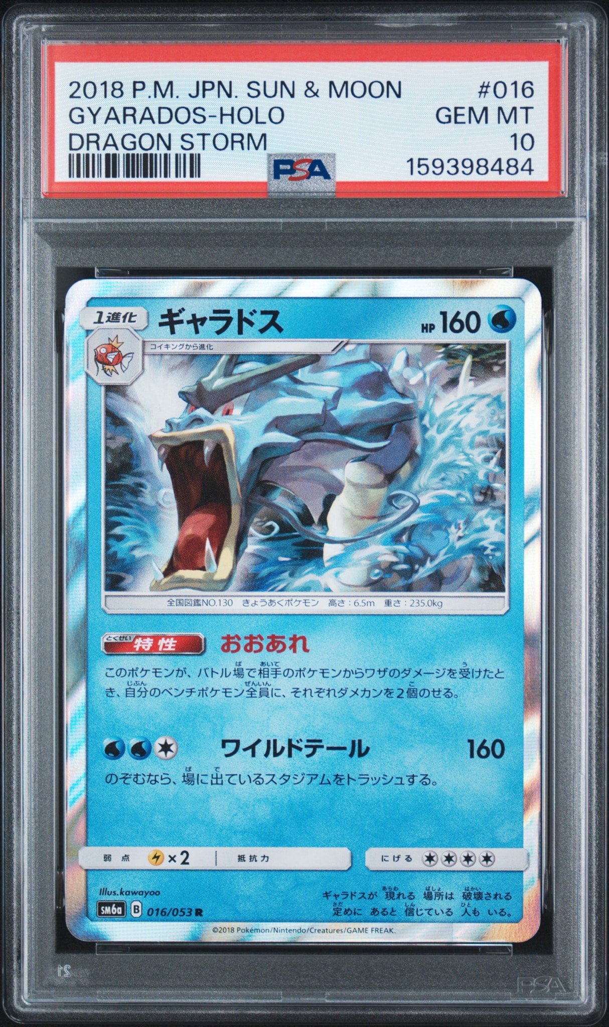 ギャラドス R [SM6a 016/053](強化拡張パック「ドラゴンストーム」)