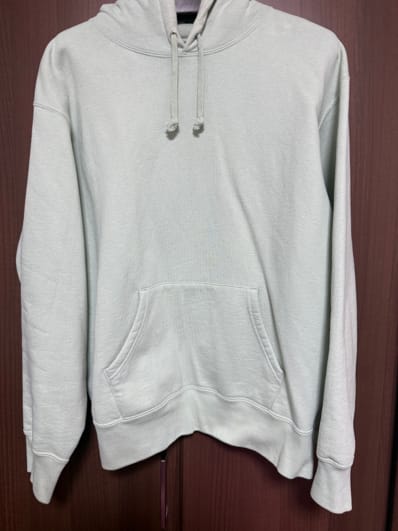 シュプリーム サテン アップリケ フーディー スウェットシャツ "ミント"