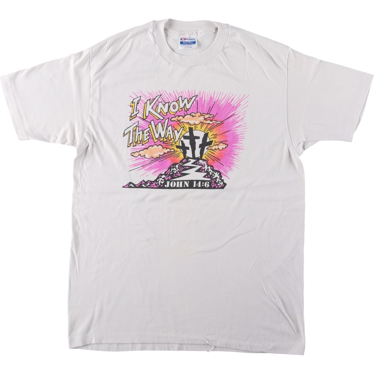 古着 80年代 ヘインズ Hanes Fifty-Fifty 青タグ プリントTシャツ USA製 メンズXL相当 ヴィンテージ/eaa661450