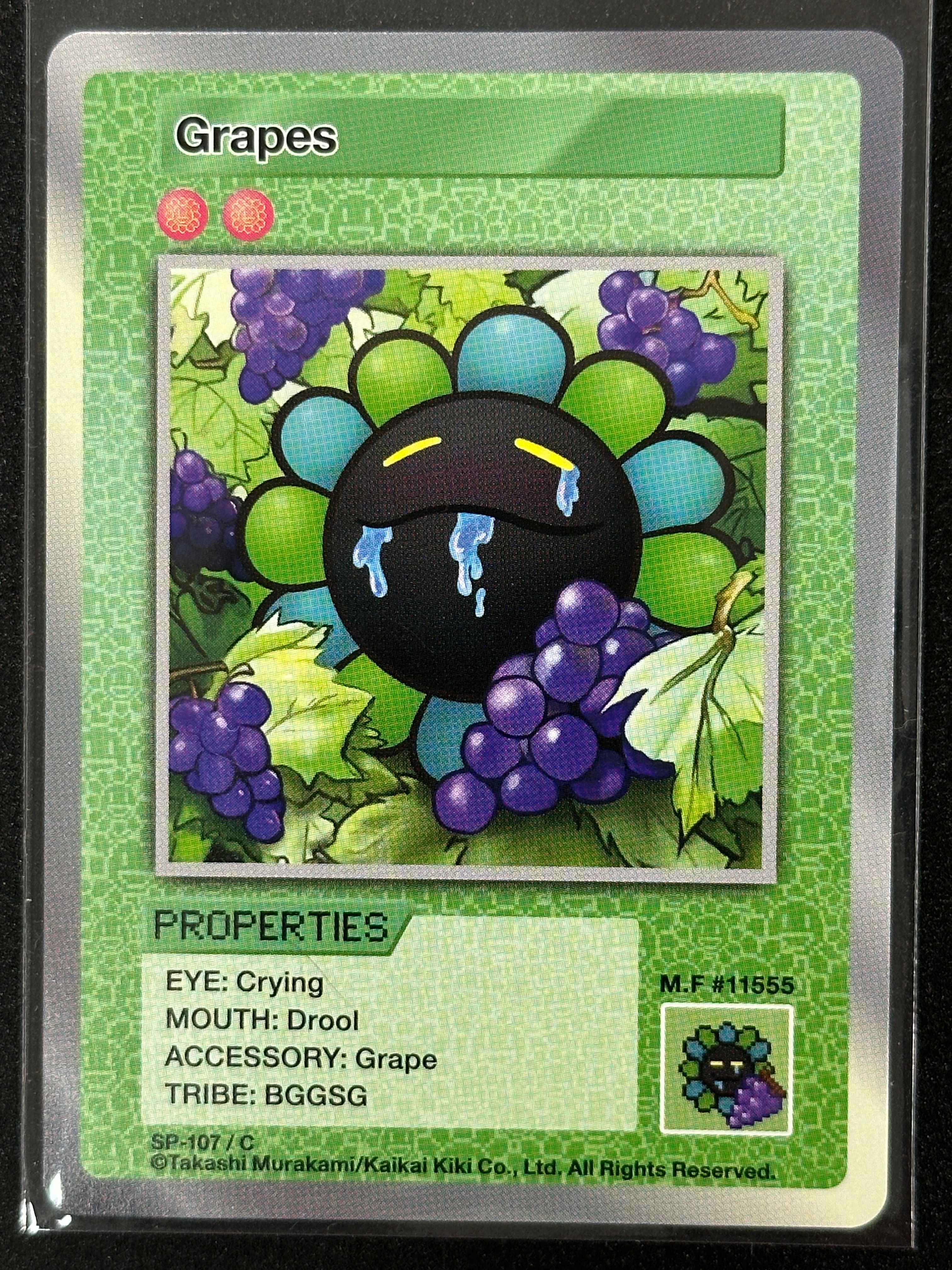 ブドウ C [SP-107]【英語版】(ムラカミフラワーズ 108フラワーズ)