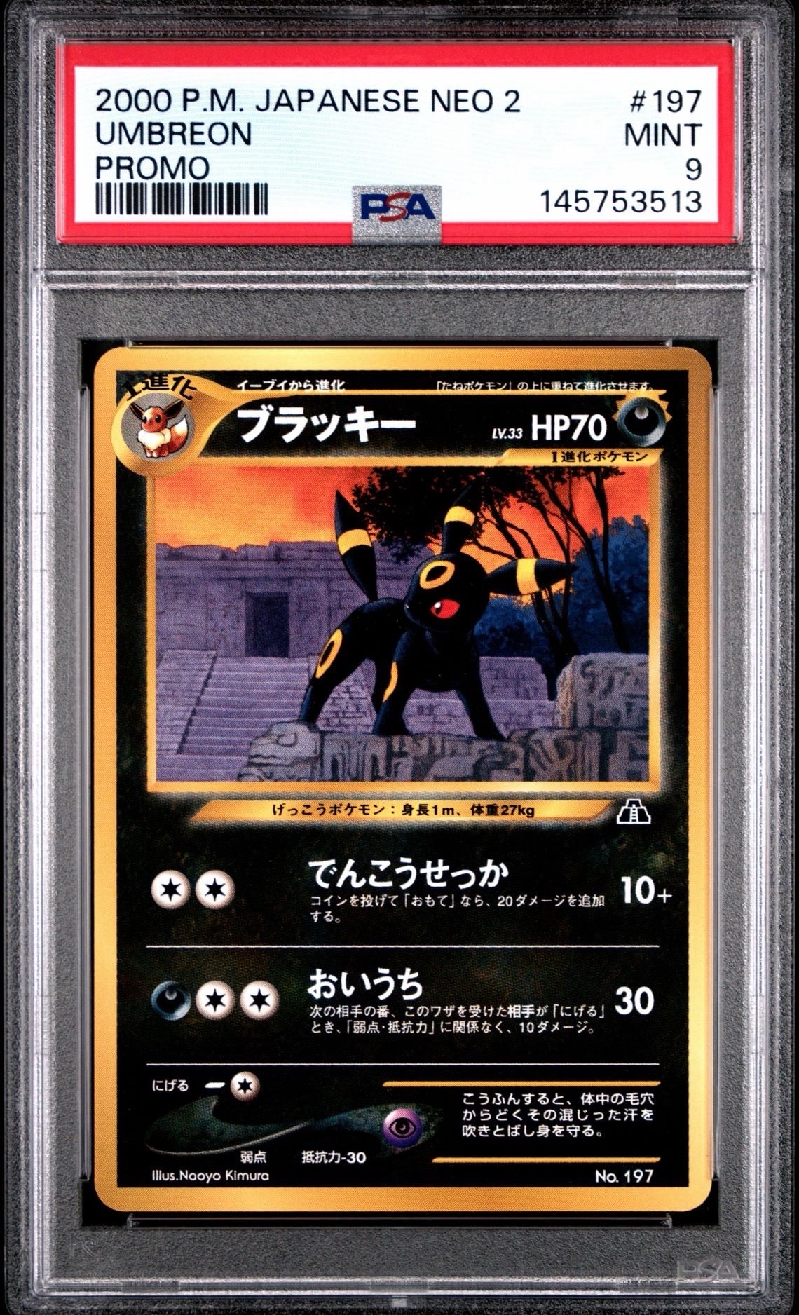 ※美品※ブラッキー プレミアムファイル 旧裏（管理用1214） ポケモンカード 旧裏 ブラッキー プレミアムファイル - メルカリ