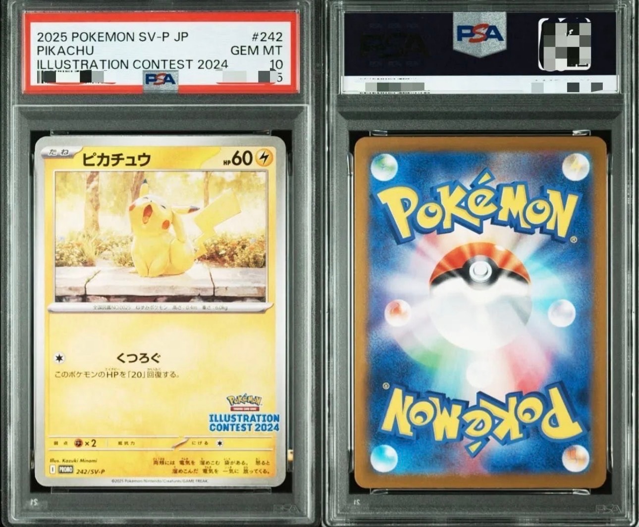 ピカチュウ：PSA10 イラストレーションコンテスト 2024 PROMO ピカチュウ PROMO 242/SV-P PSA10 イラストレーションコンテスト2024