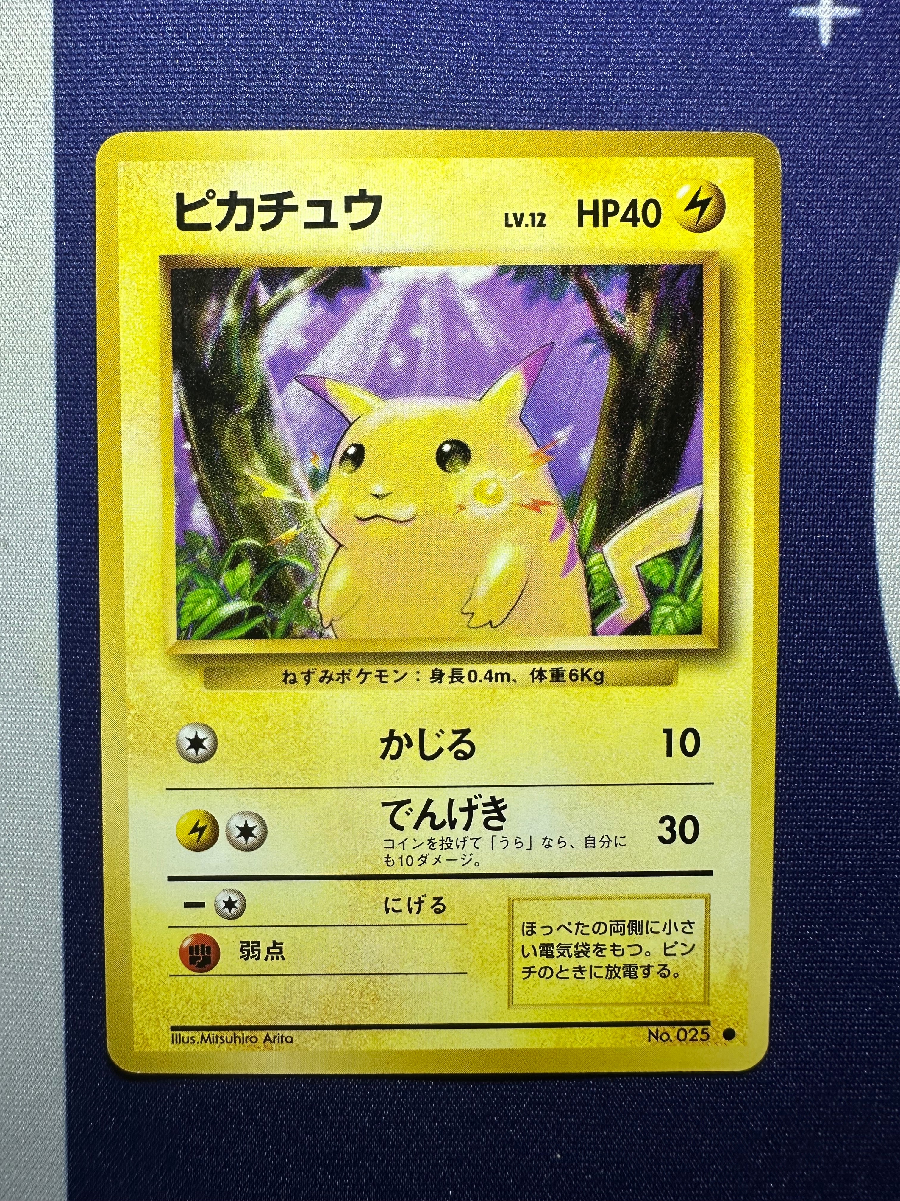 海で遊ぶピカチュウ: プロモ [SM-P 392](プロモーションカード「SM-P