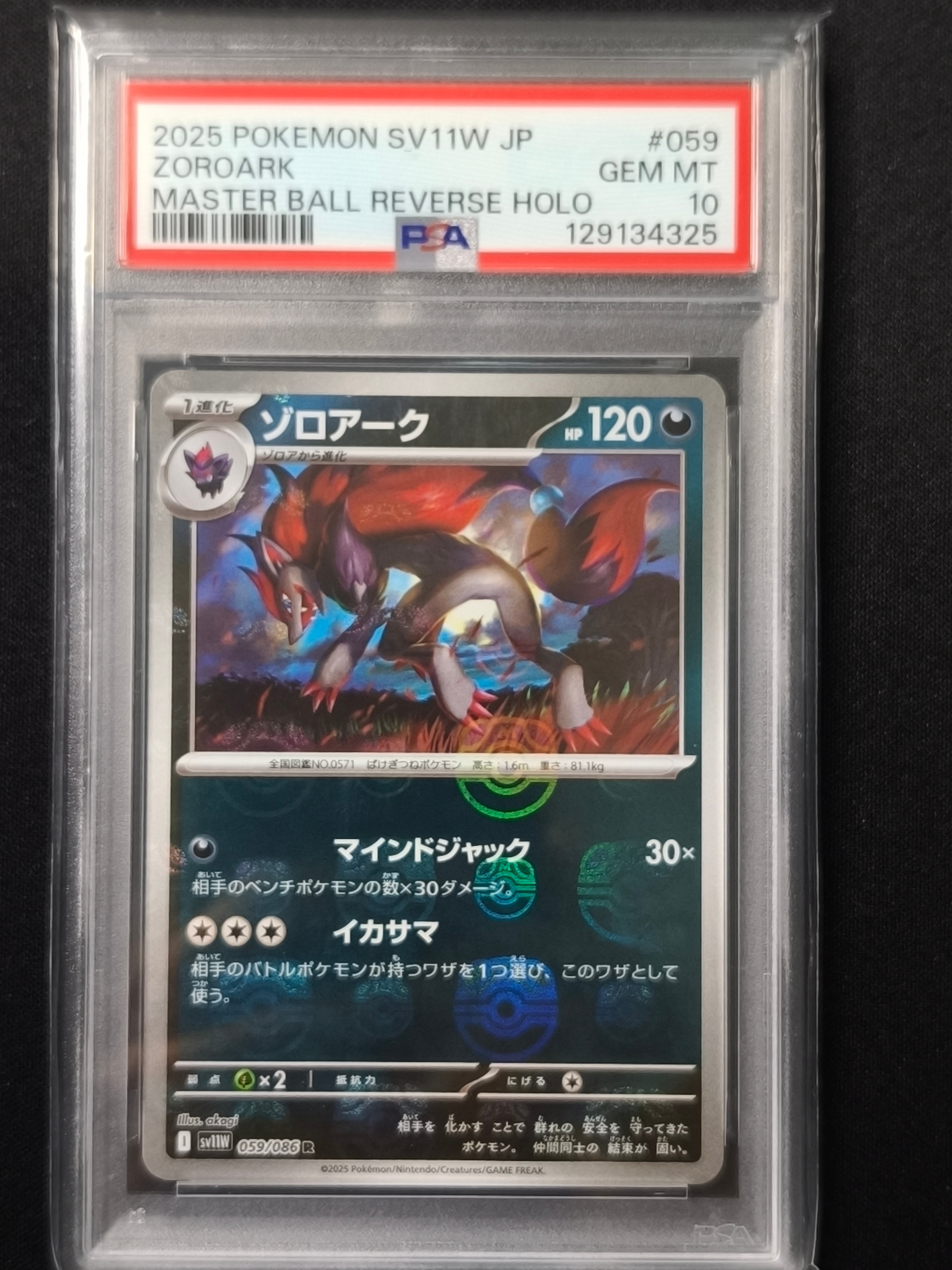 ゾロアーク R :マスターボールミラー [SV11W 059/086](拡張パック「ホワイトフレア」)