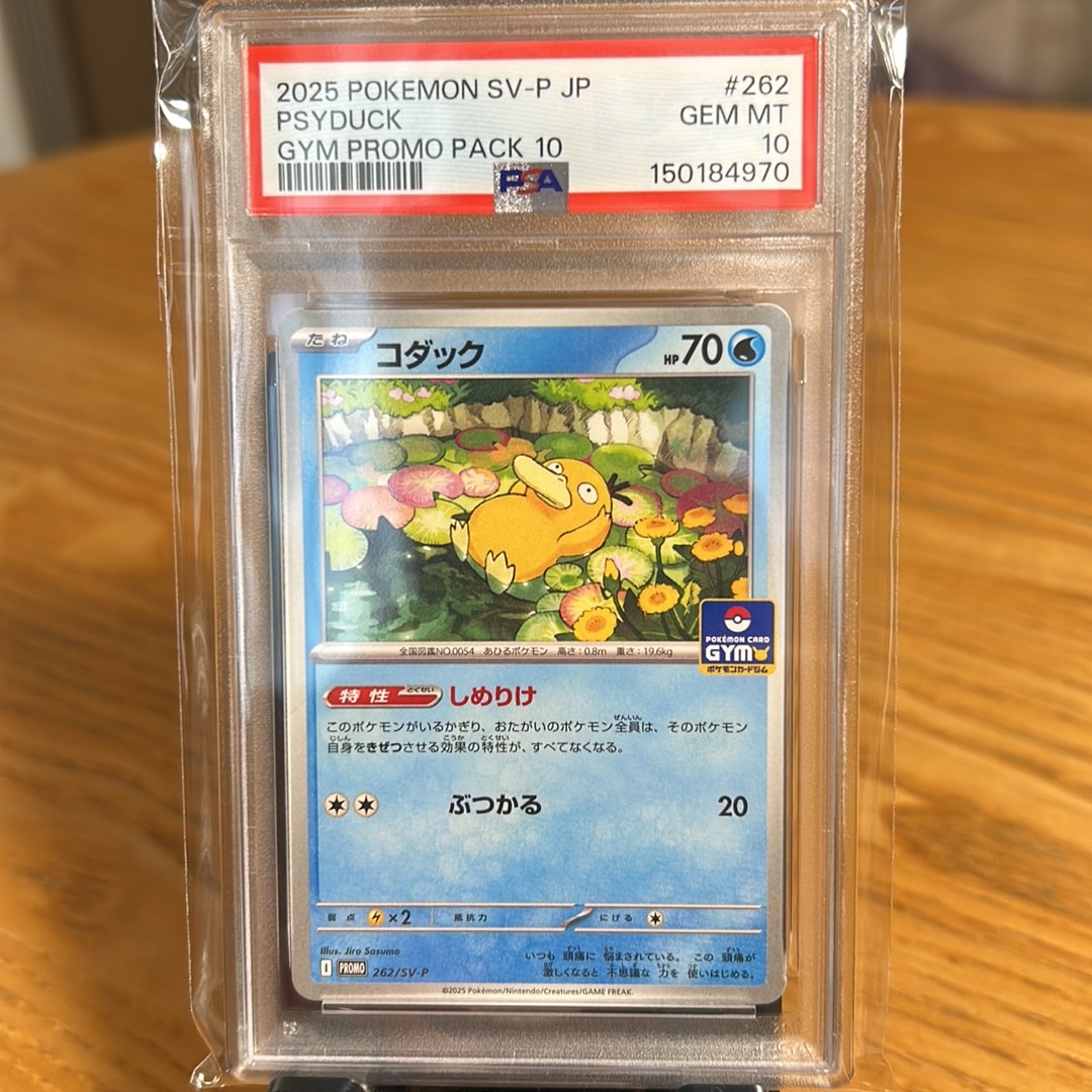 コダック P [SV-P 262](プロモカードパック「第10弾」)