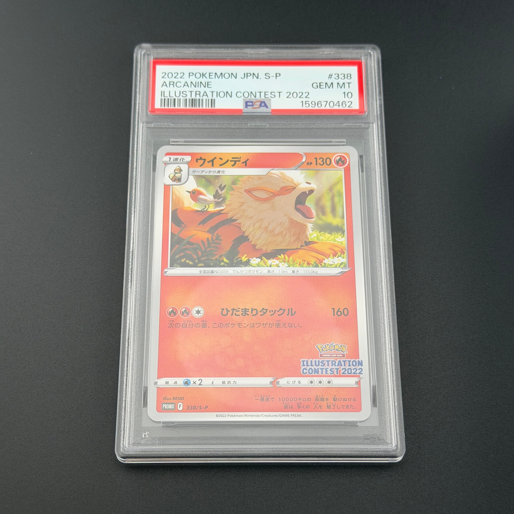Arcanine PROMO[PROMO338/S-P](Promotional Cards "Pokemon Centers / Pokemon Stores / Pokemon Center Online Bonus for purchases over 2000 yen")