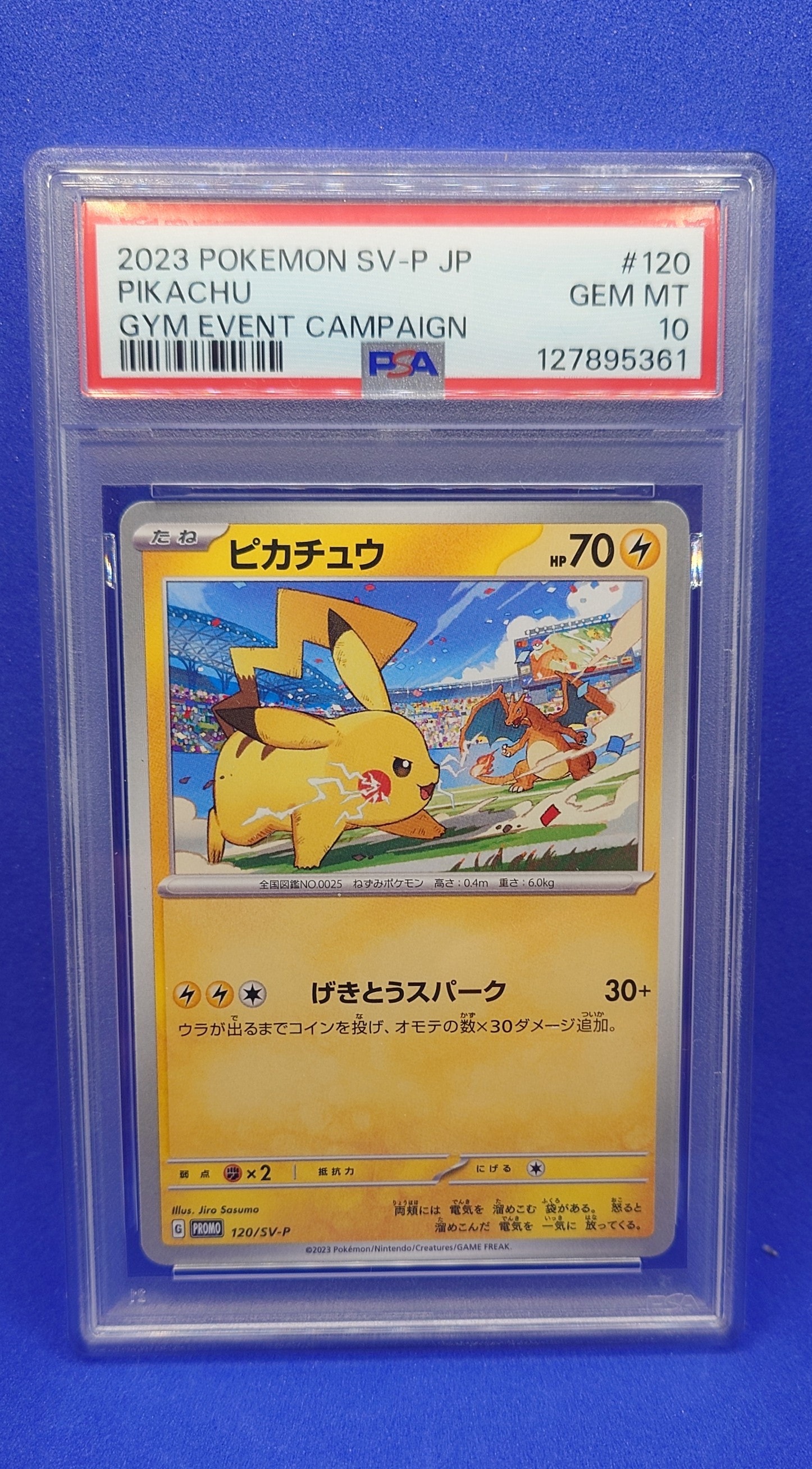 ピカチュウ: プロモ [SV-P 120](プロモーションカード「SV-P」)