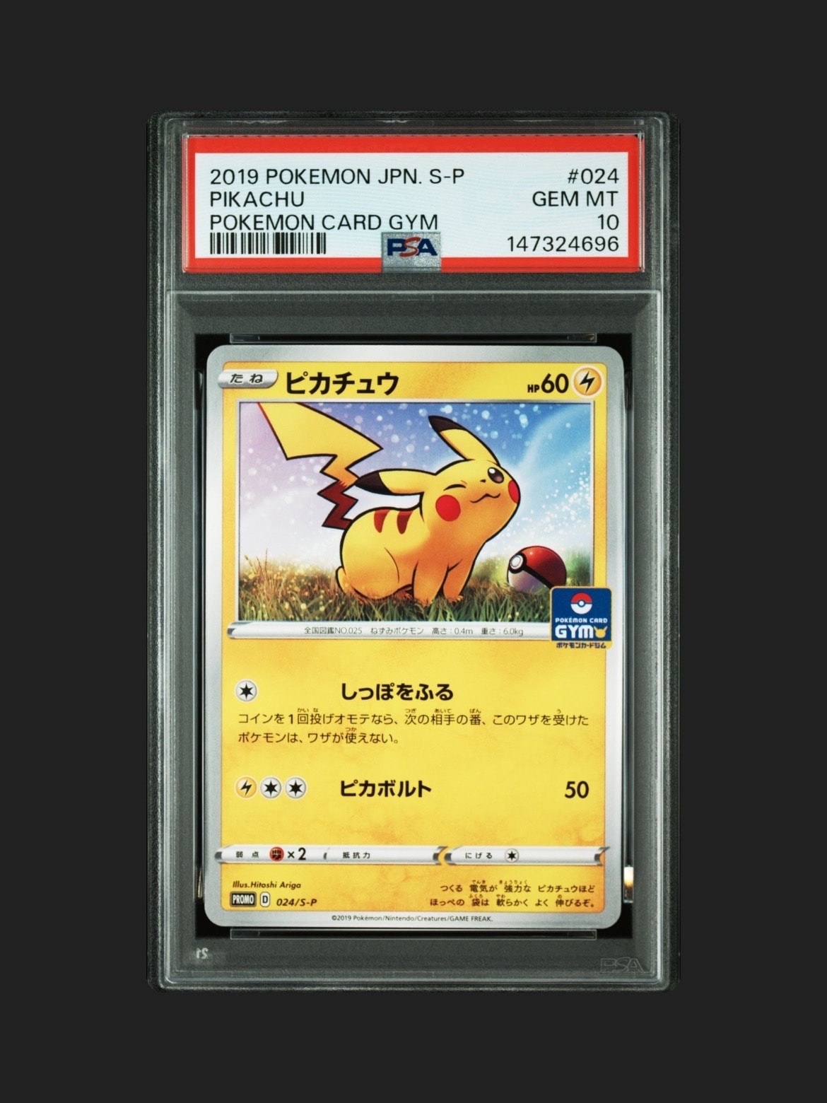 ピカチュウ: プロモ P [S-P 024](ポケモンカードゲーム ソード&シールド 「プロモカードパック 第1弾」)