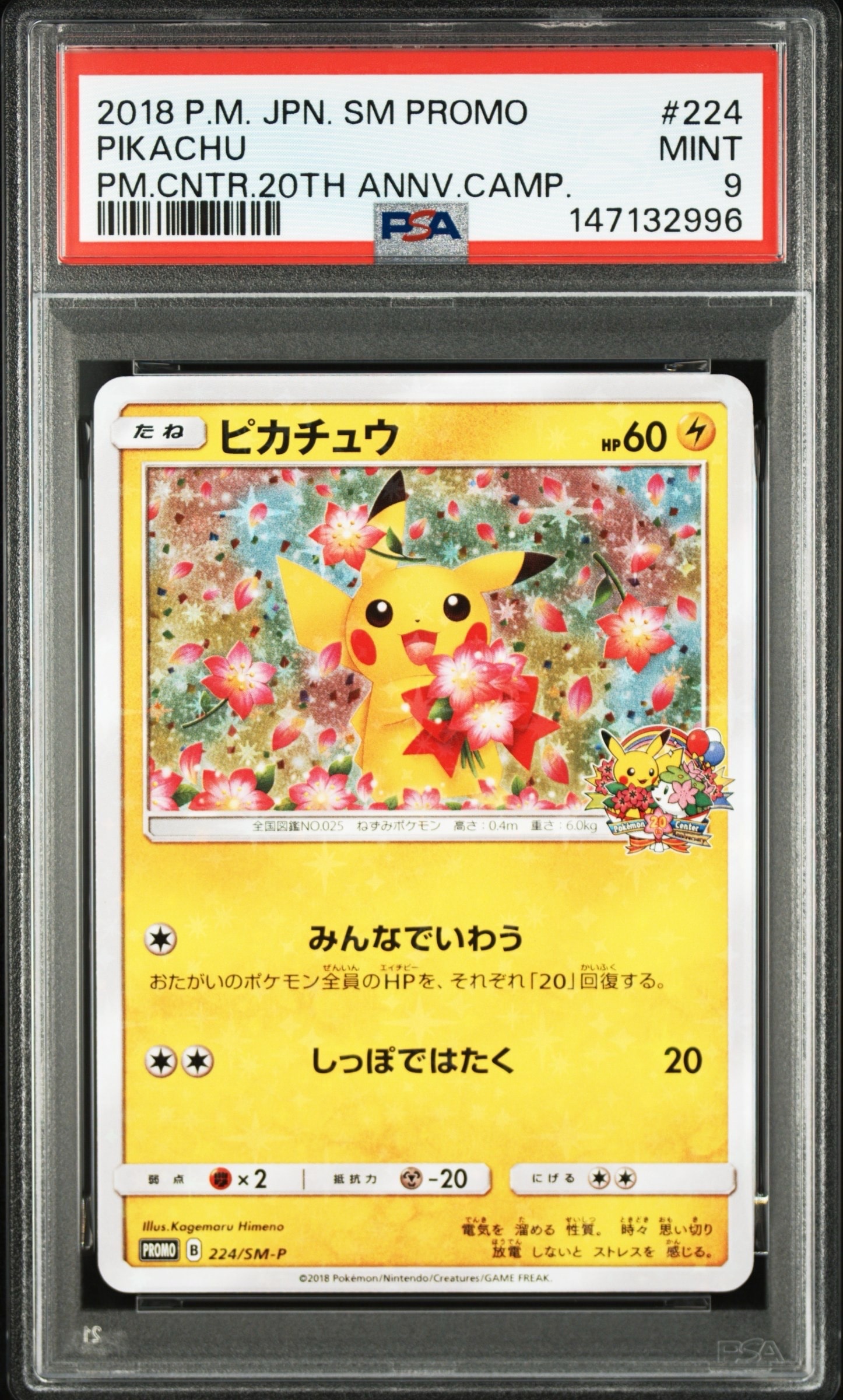 ピカチュウ: プロモ[SM-P 224](プロモーションカード「SM-P」)の新品