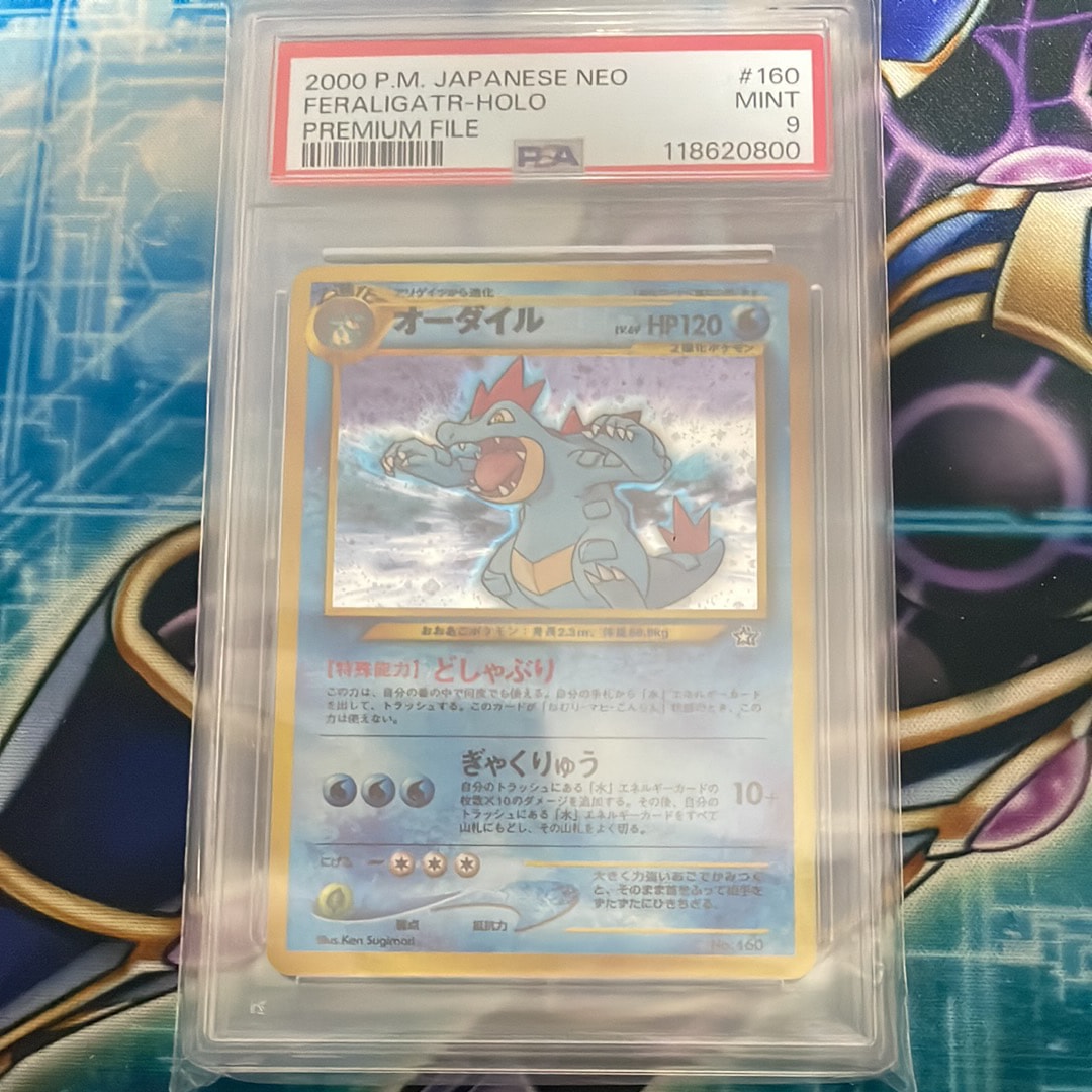 オーダイル 旧裏 psa9 ポケモンカード プレミアムファイル オーダイル 旧裏 psa9 ポケモンカード プレミアムファイル