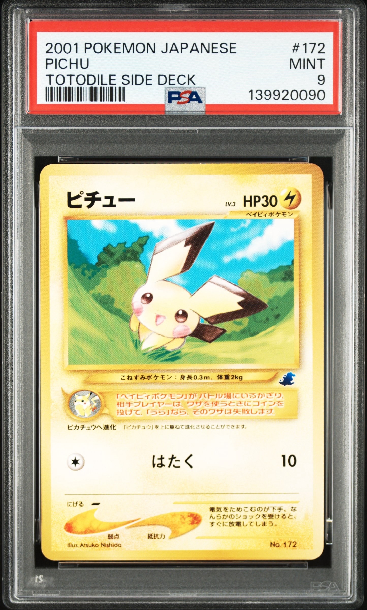 ピチュー イントロパック: 旧裏[neoI No.172](イントロパック★neo)