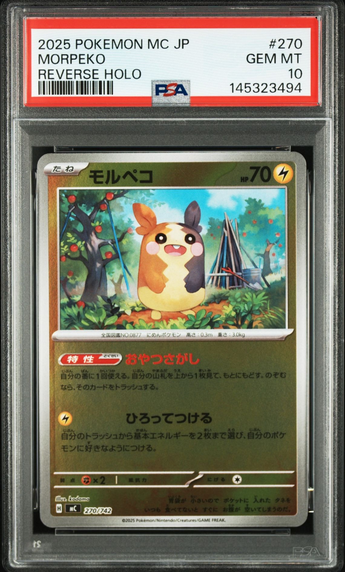 PSA10】ポンチョを着たピカチュウ: プロモ[XY-P 207/XY-P](BREAK