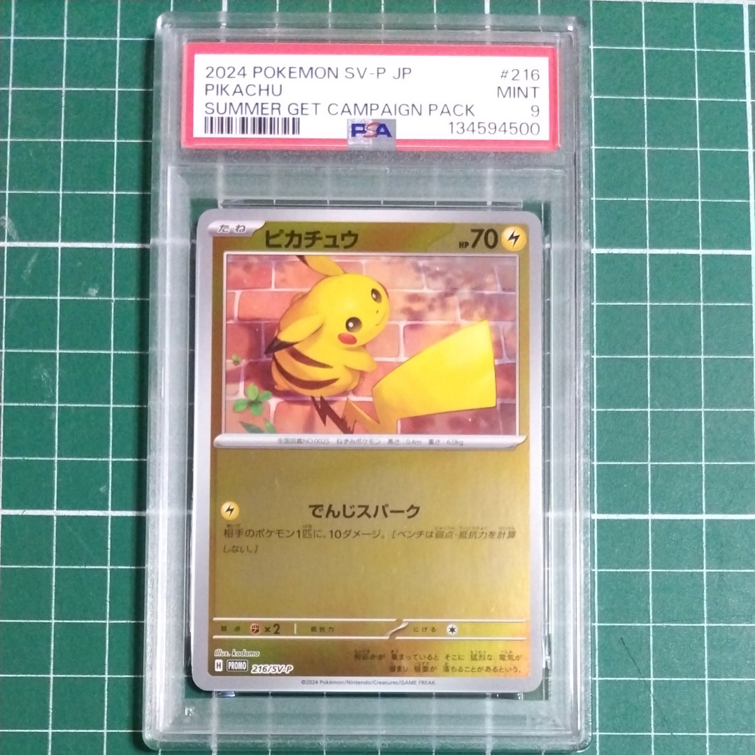ピカチュウ P [SV-P 216](プロモカードパック「ポケカの夏がキタ!プロモカードGetキャンペーン!」)