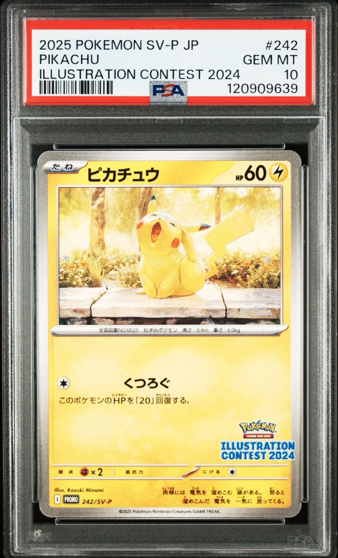 【PSA10】ピカチュウ　イラストレーションコンテスト2024 PSA10】ピカチュウ [SV-P 242](プロモカードパック