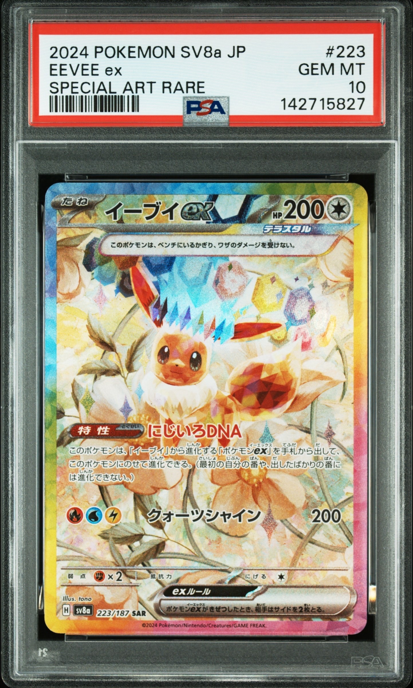 ムサシとコジロウ R [SM10b 048/054](強化拡張パック「スカイ