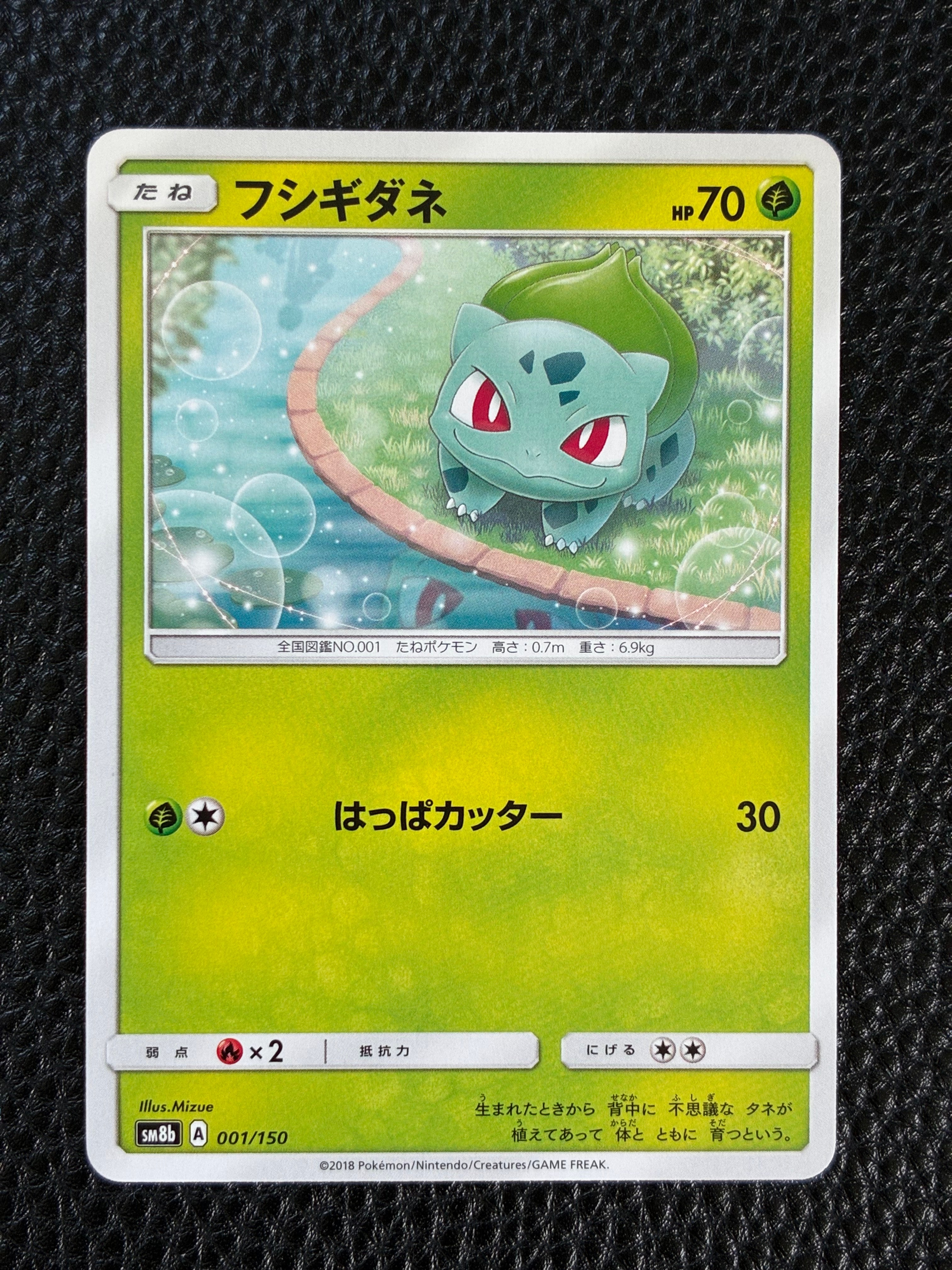 PSA9】ポケパークのゴンベ [PCG 008/009](ポケパークプレミアム